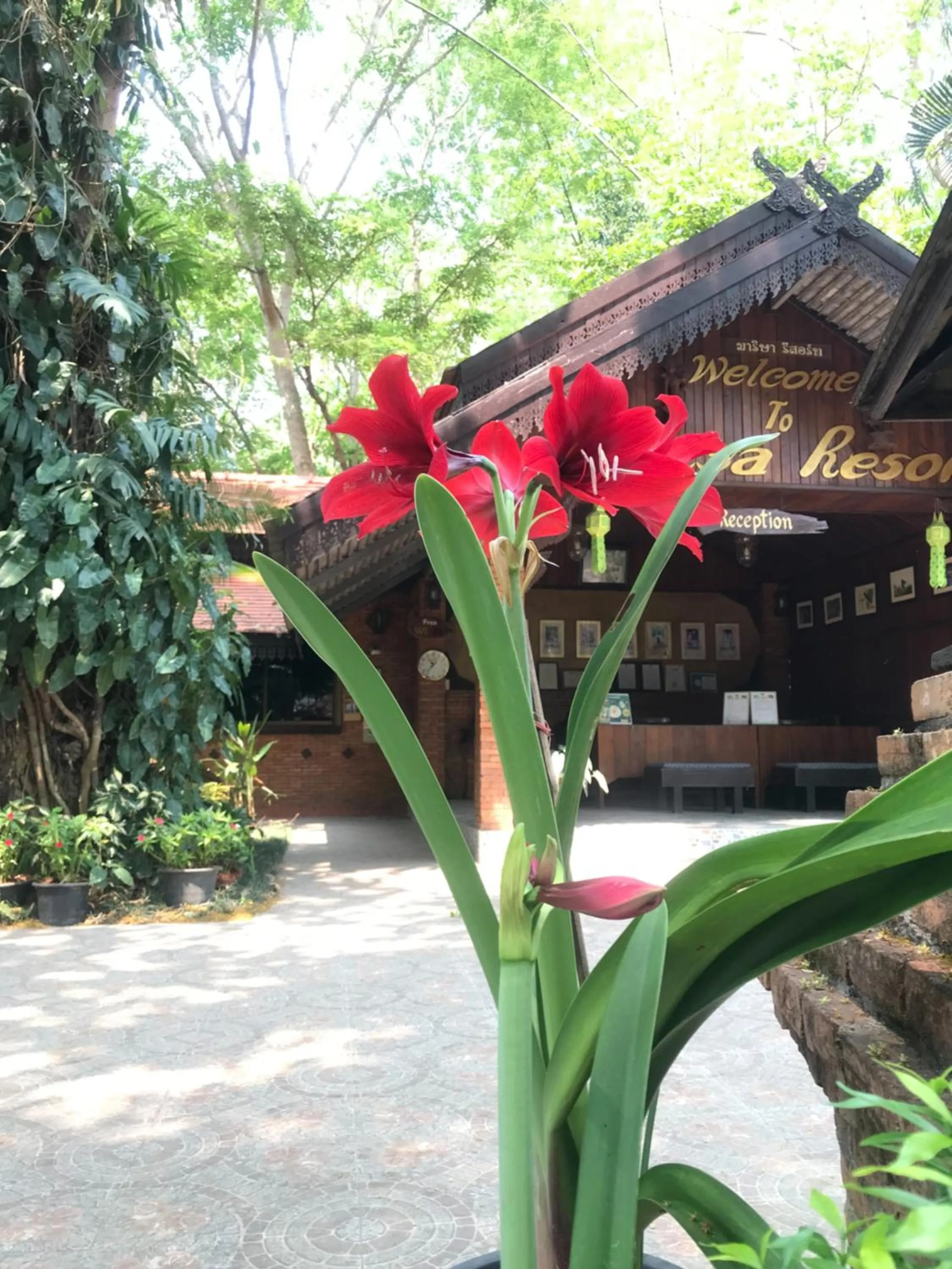 Marisa Resort & Spa Chiang Dao