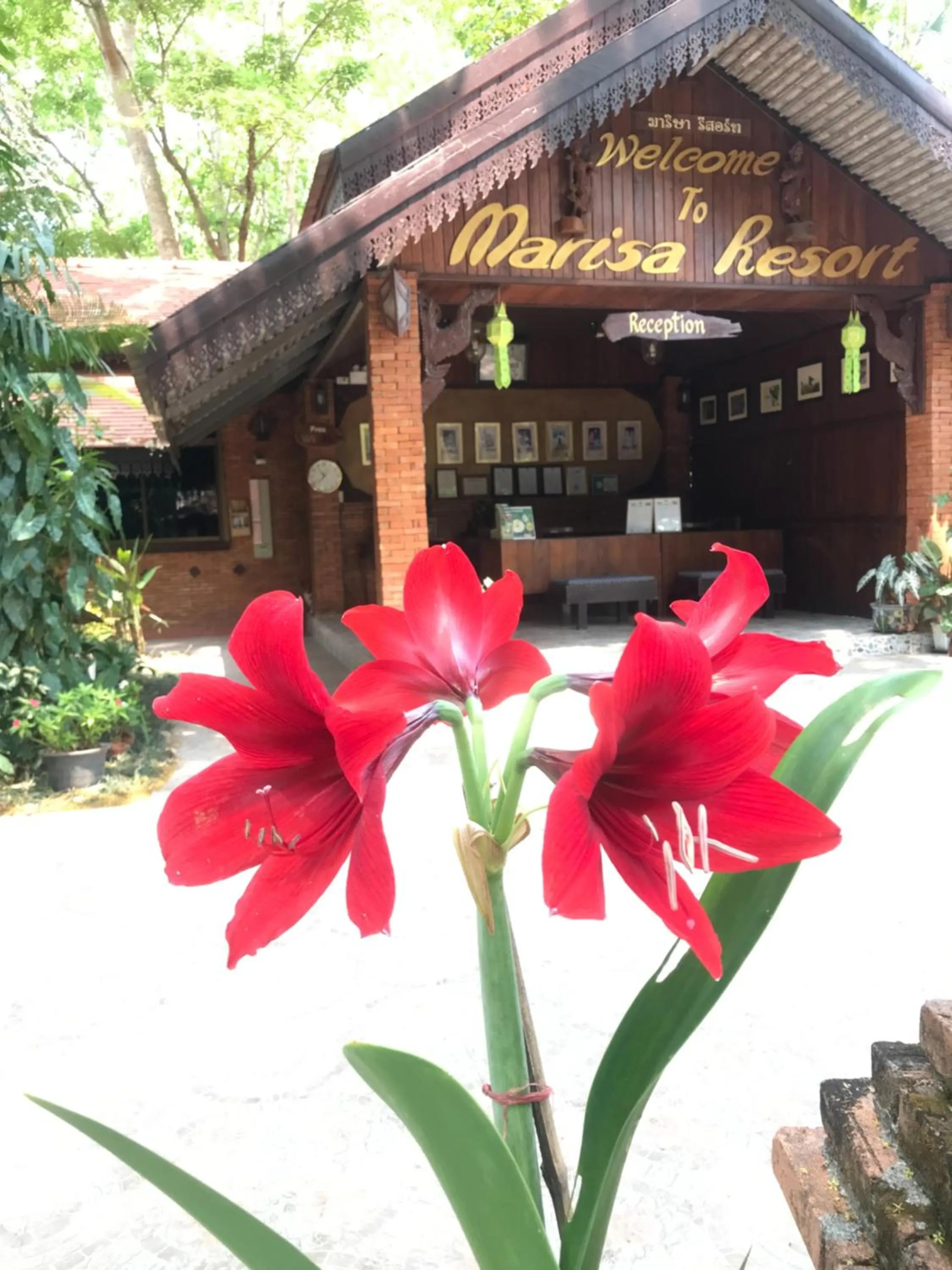 Marisa Resort & Spa Chiang Dao