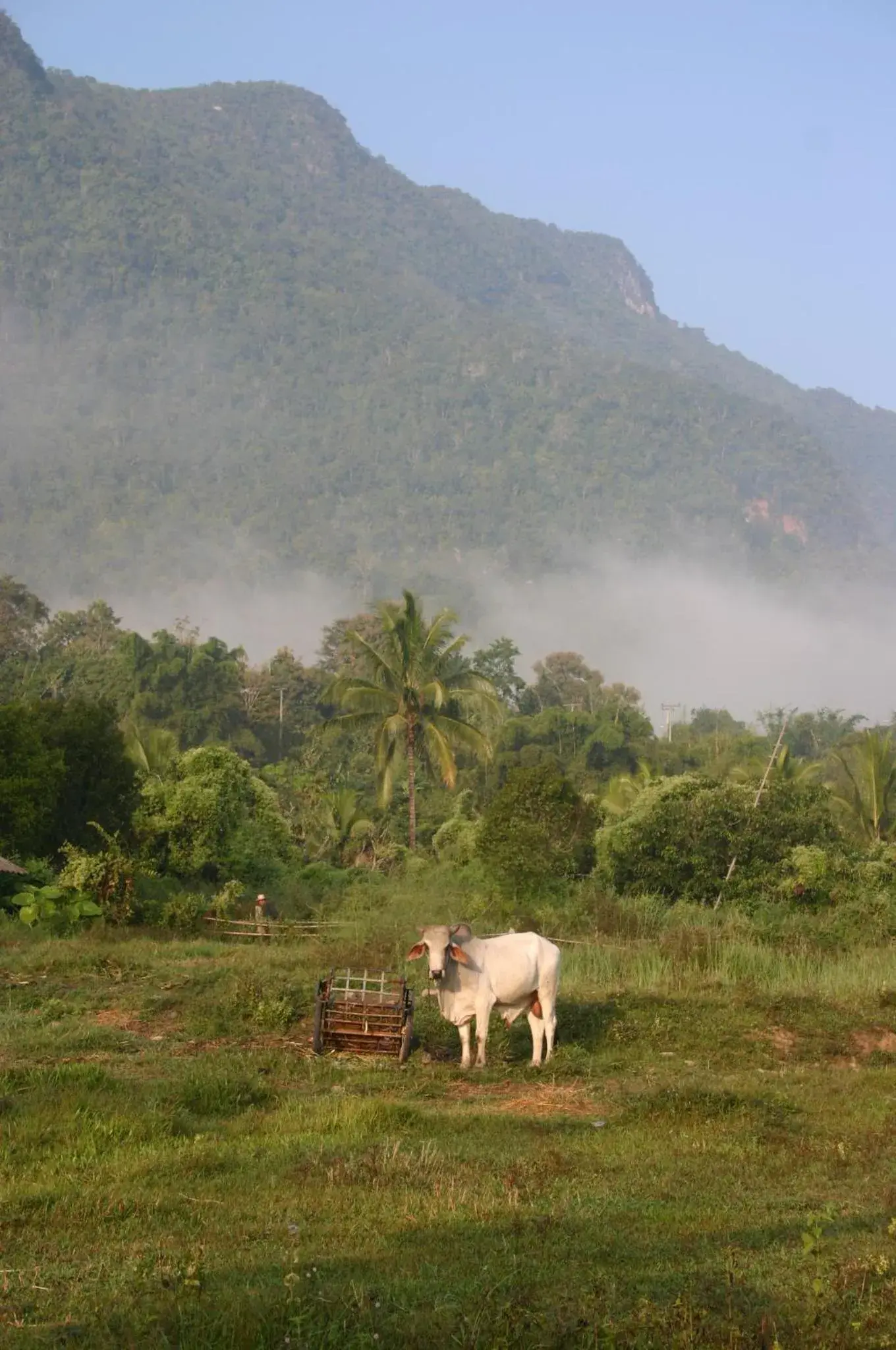 Mountain view in Marisa Resort & Spa Chiang Dao Mountain view in Marisa Resort & Spa Chiang Dao