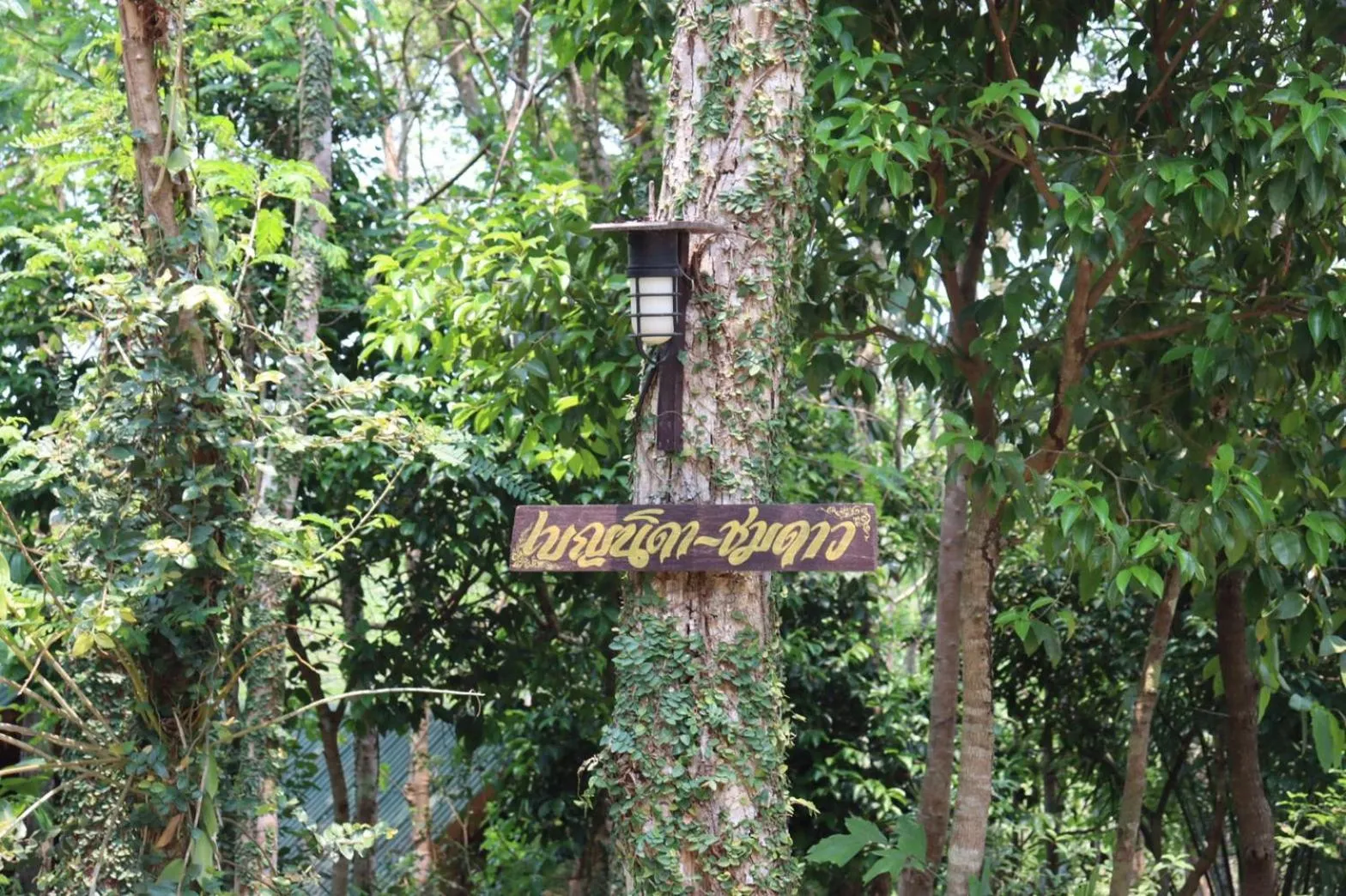 Inner courtyard view in Marisa Resort & Spa Chiang Dao