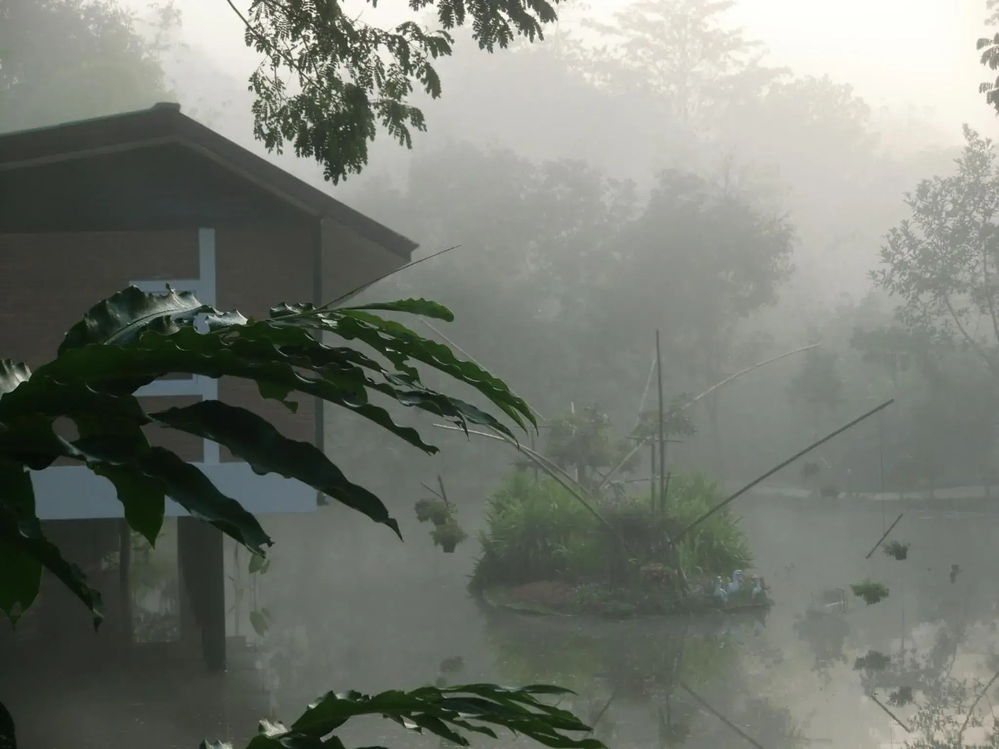Natural landscape in Marisa Resort & Spa Chiang Dao Natural landscape in Marisa Resort & Spa Chiang Dao