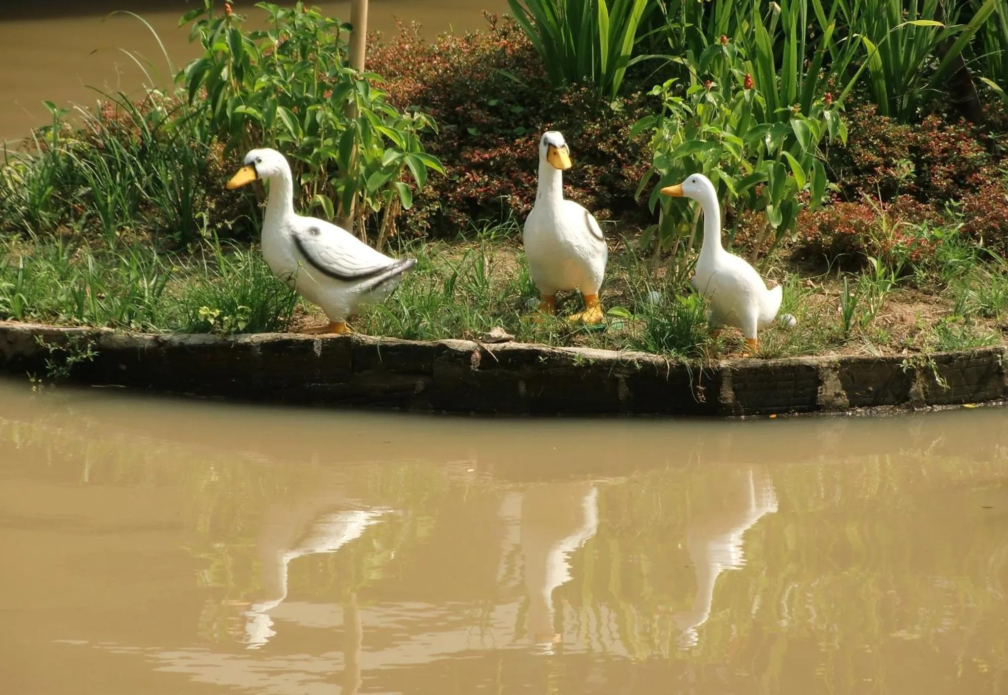 River view in Marisa Resort & Spa Chiang Dao