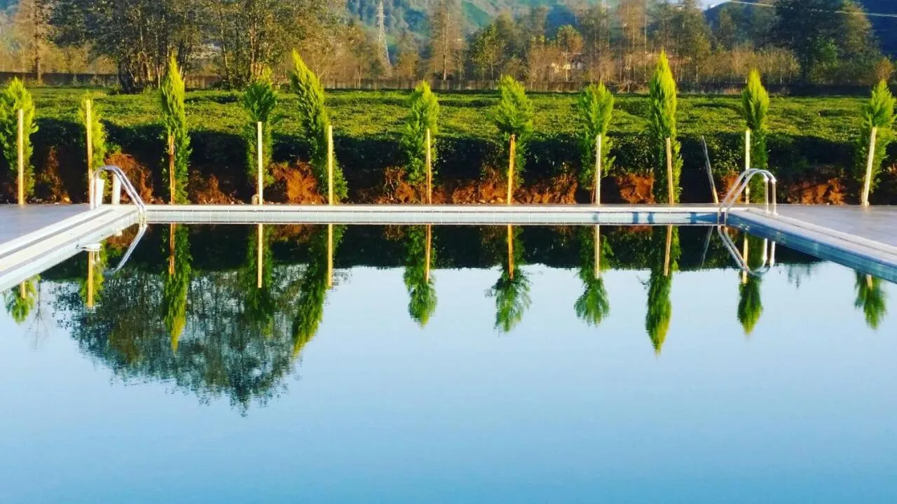 Restaurant/places to eat in Mori Sport Hotel