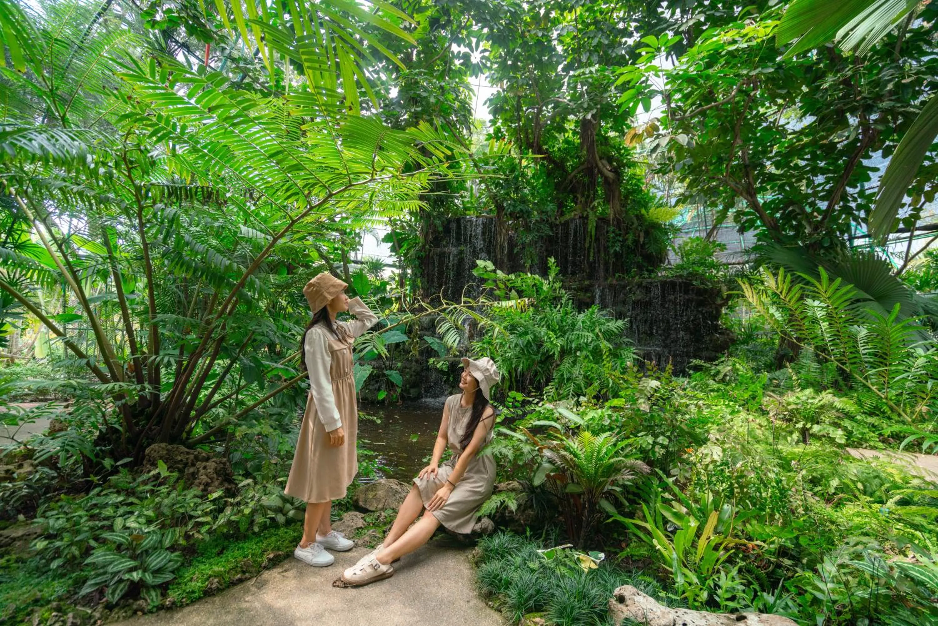 Garden in Horizon Village & Resort