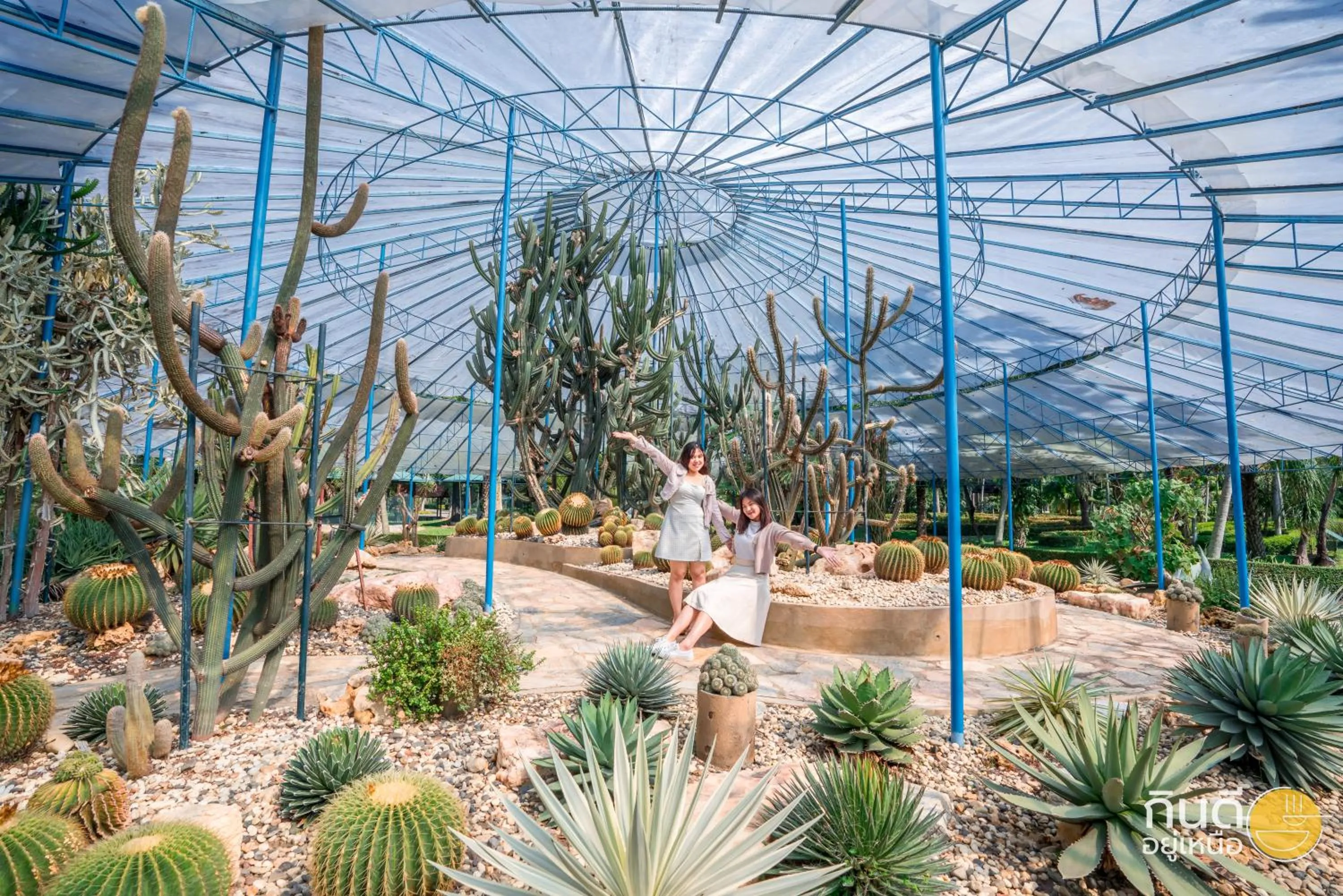 Garden in Horizon Village & Resort