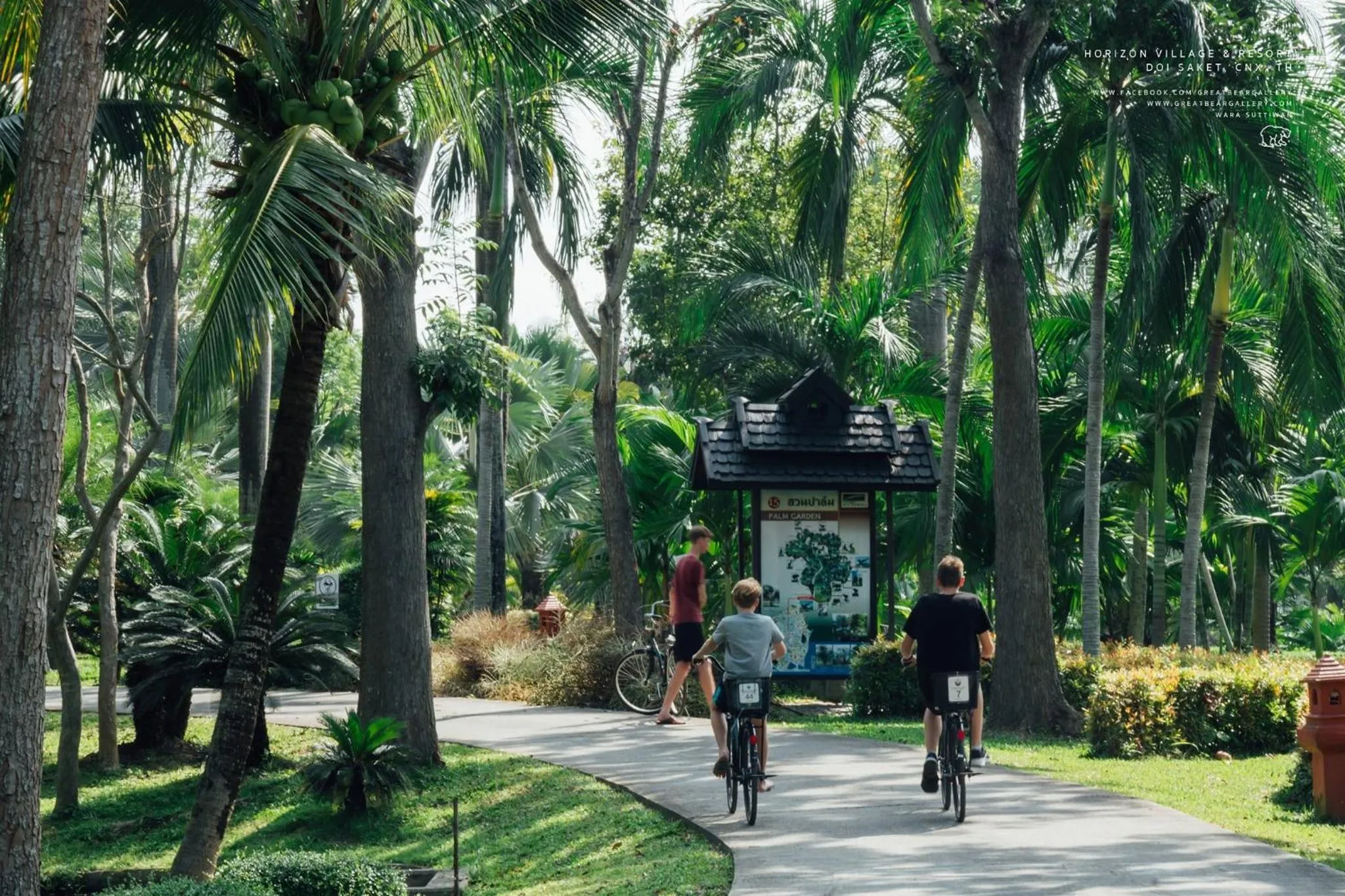 Day in Horizon Village & Resort