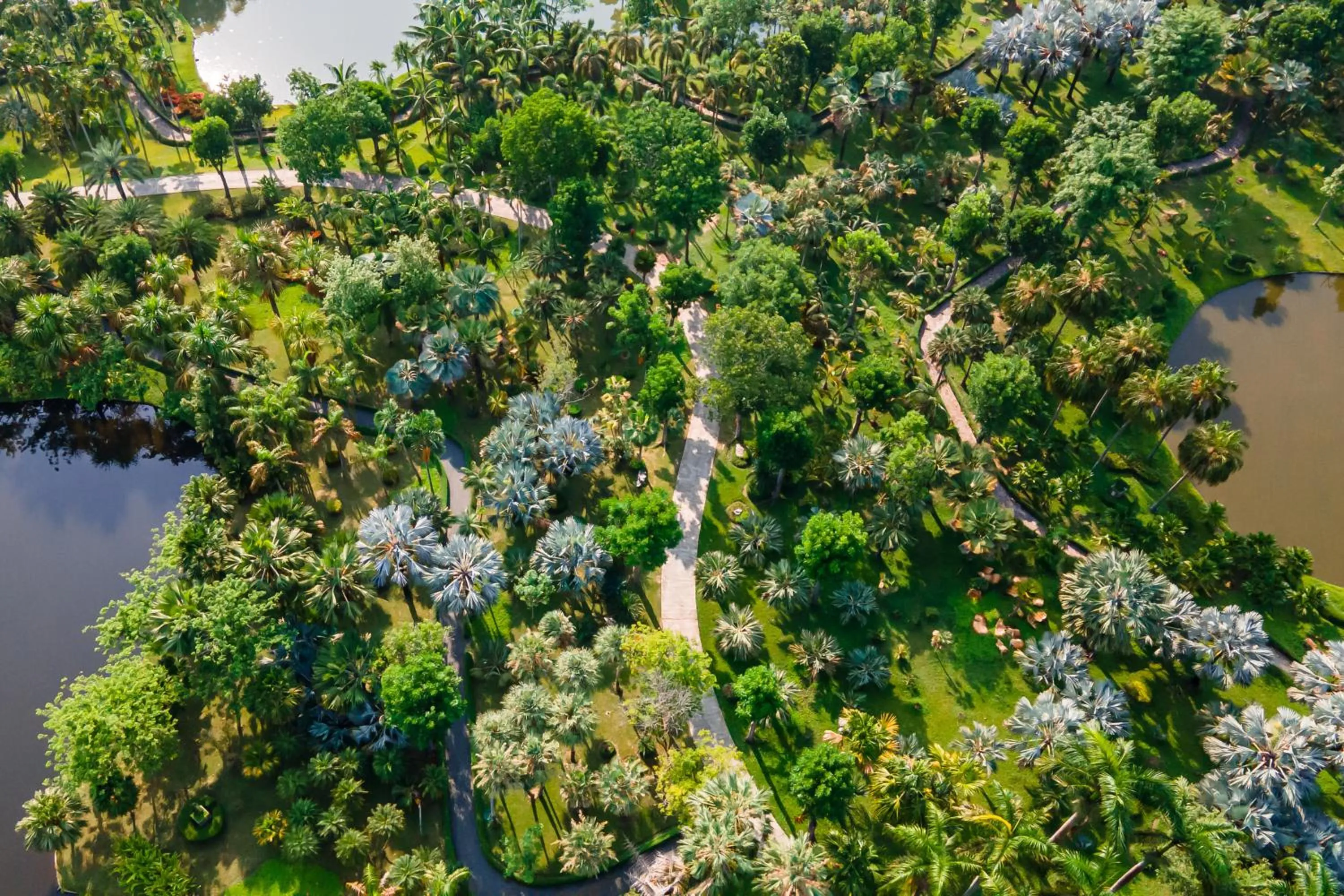 Natural landscape in Horizon Village & Resort