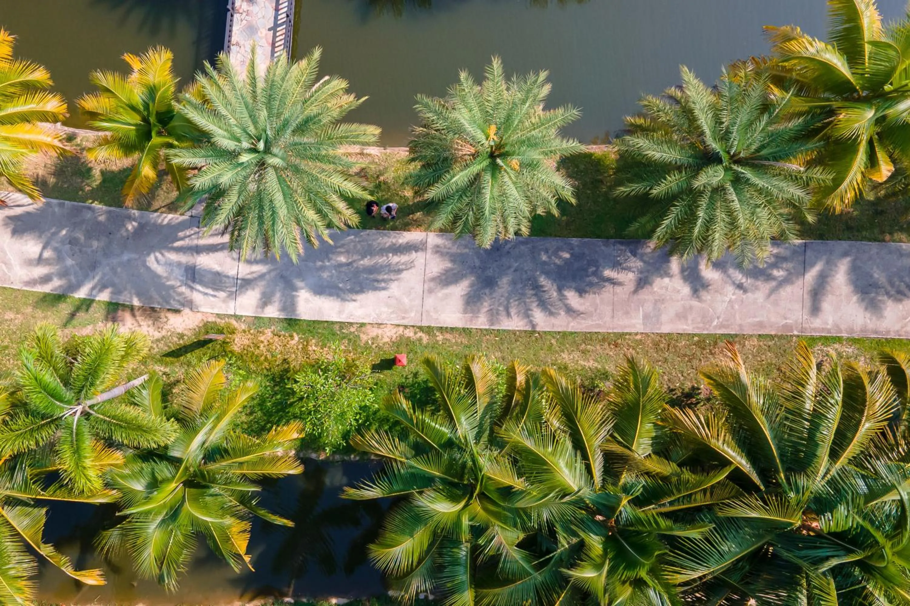 Garden in Horizon Village & Resort