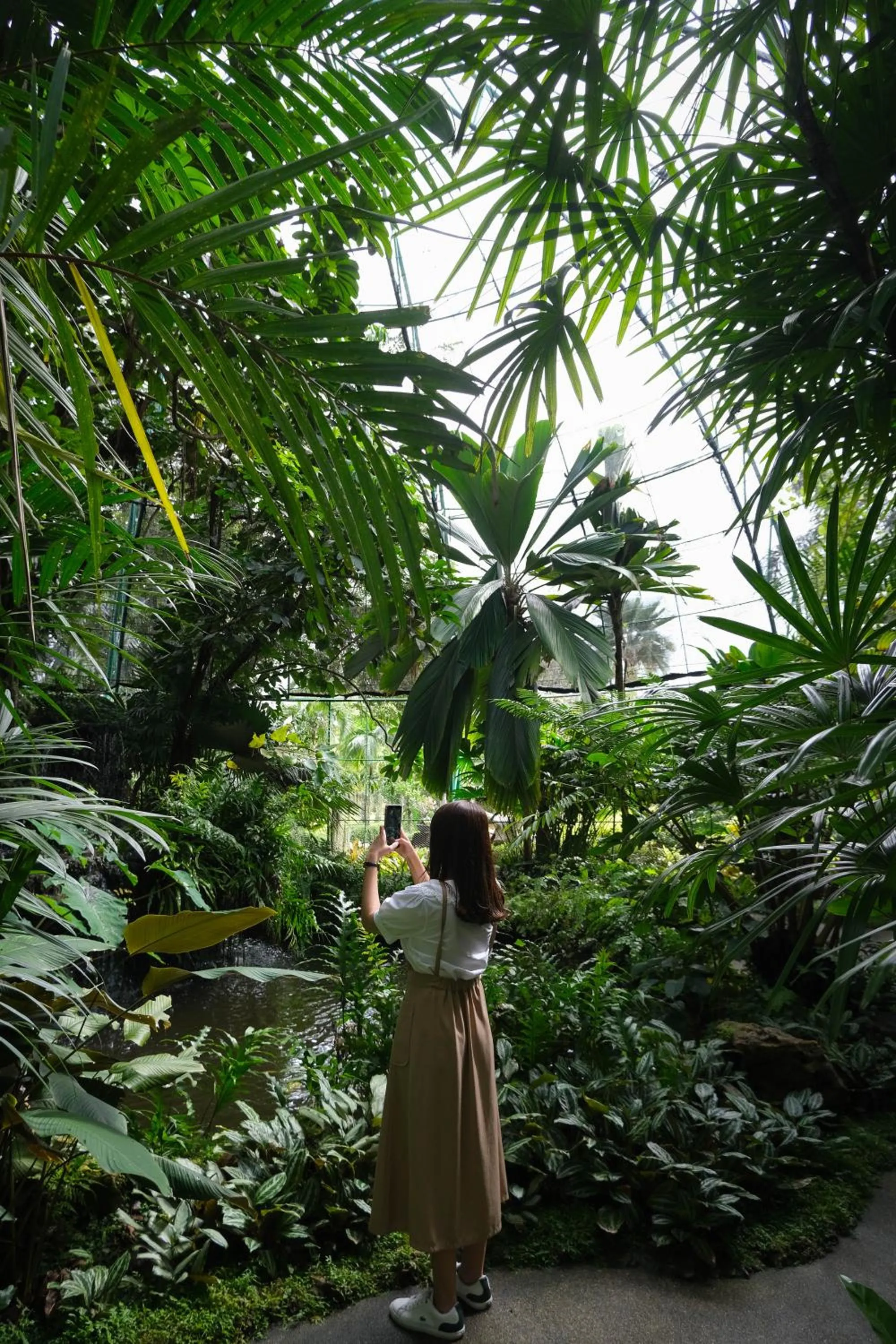 Garden in Horizon Village & Resort