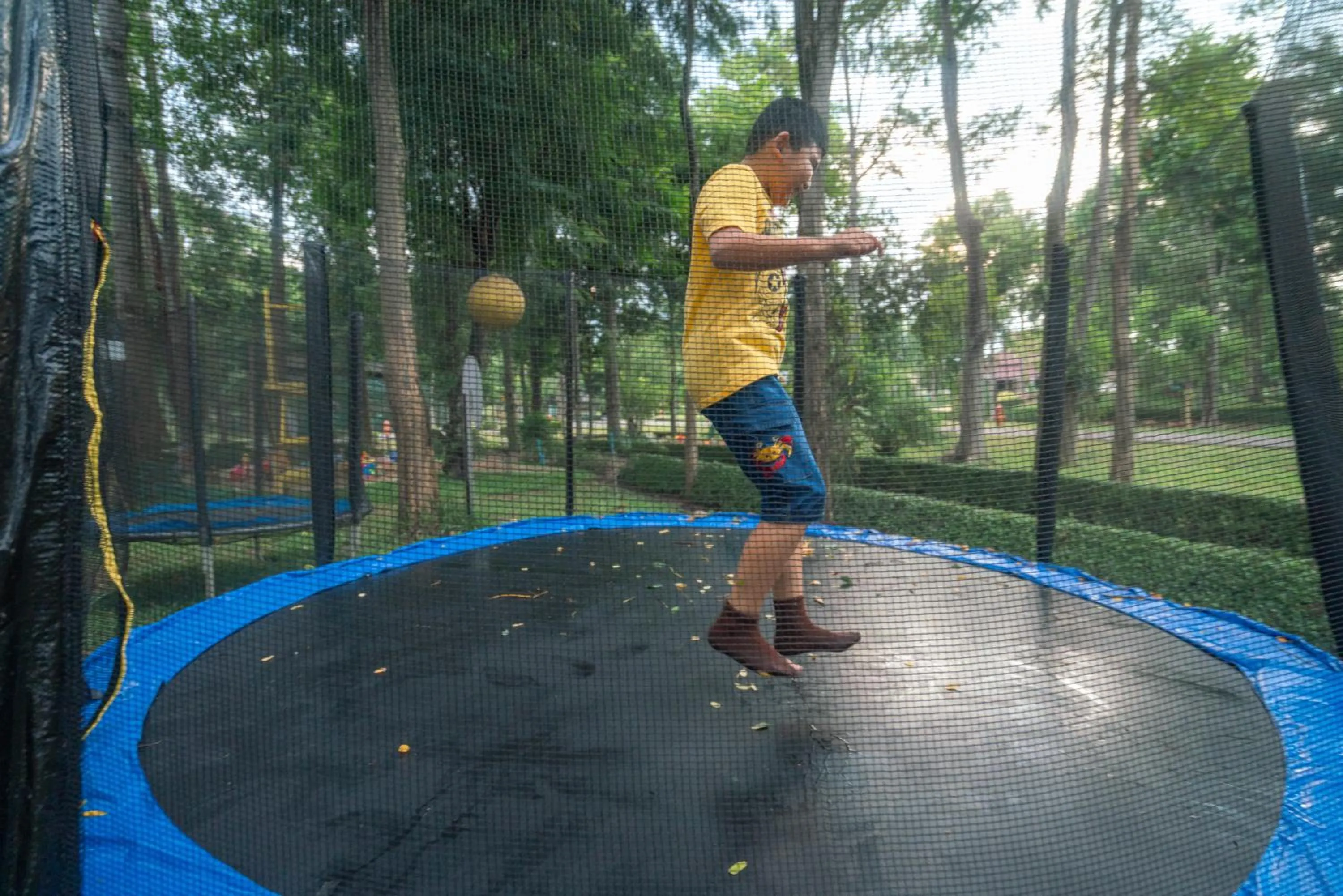 Garden in Horizon Village & Resort