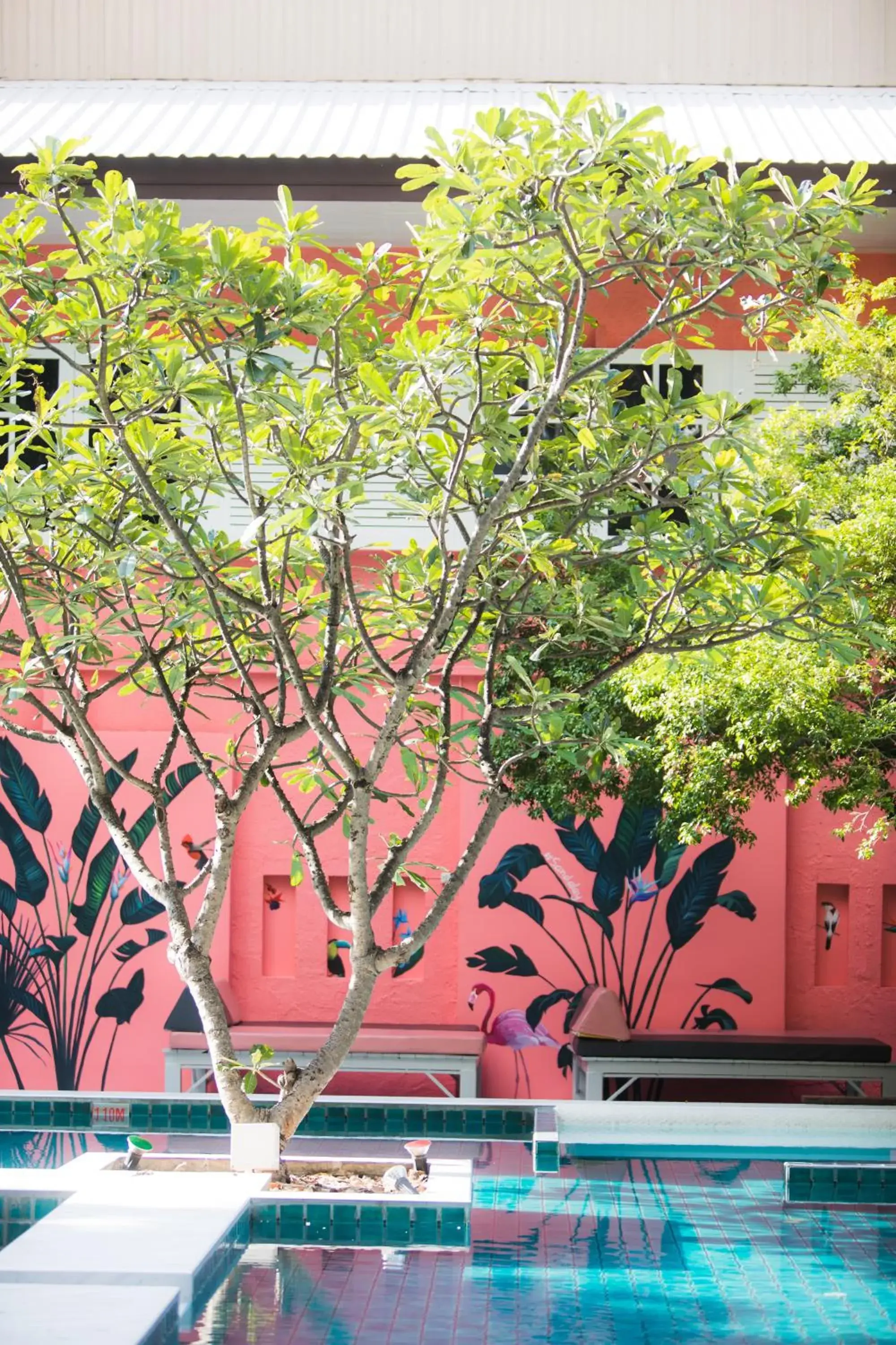 Pool view in Sandalay Resort Pool view in Sandalay Resort