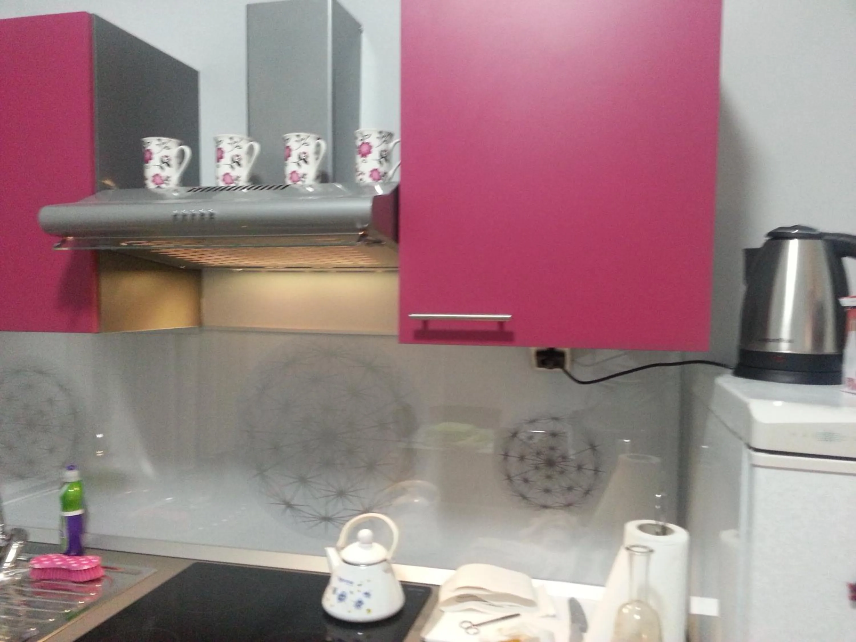 Kitchen or kitchenette in Pavelin apartments
