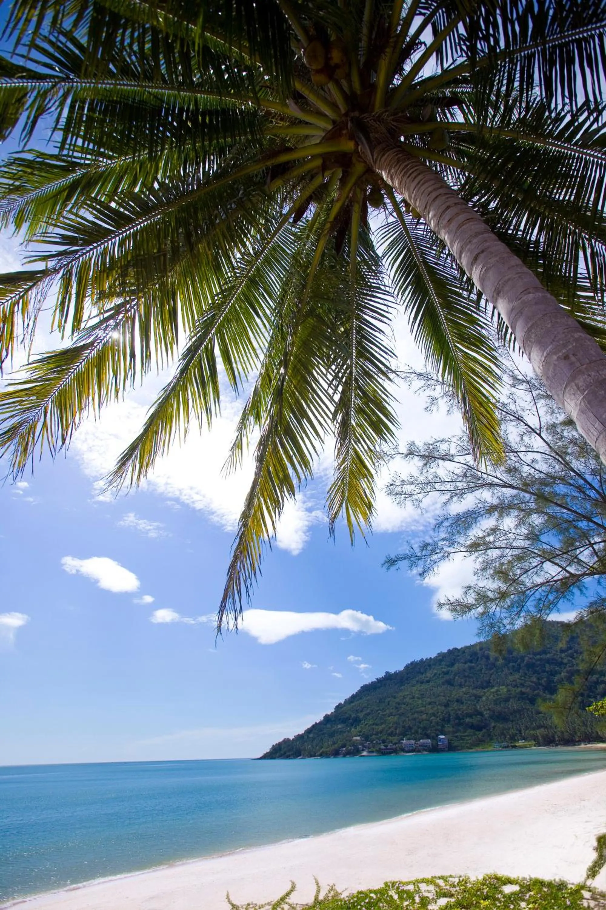 Other in Aava Resort and Spa