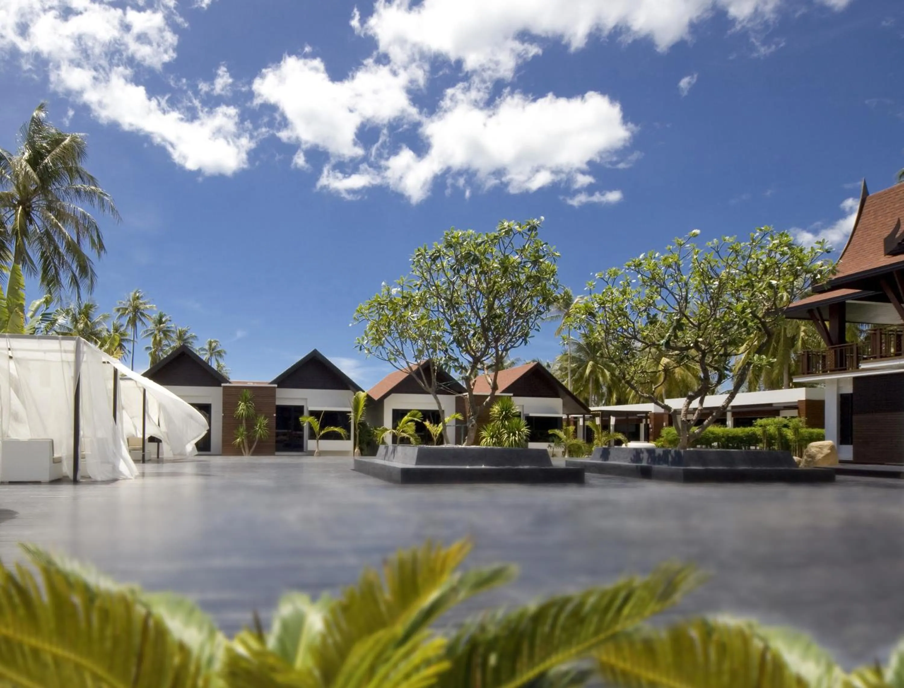 Garden view in Aava Resort and Spa