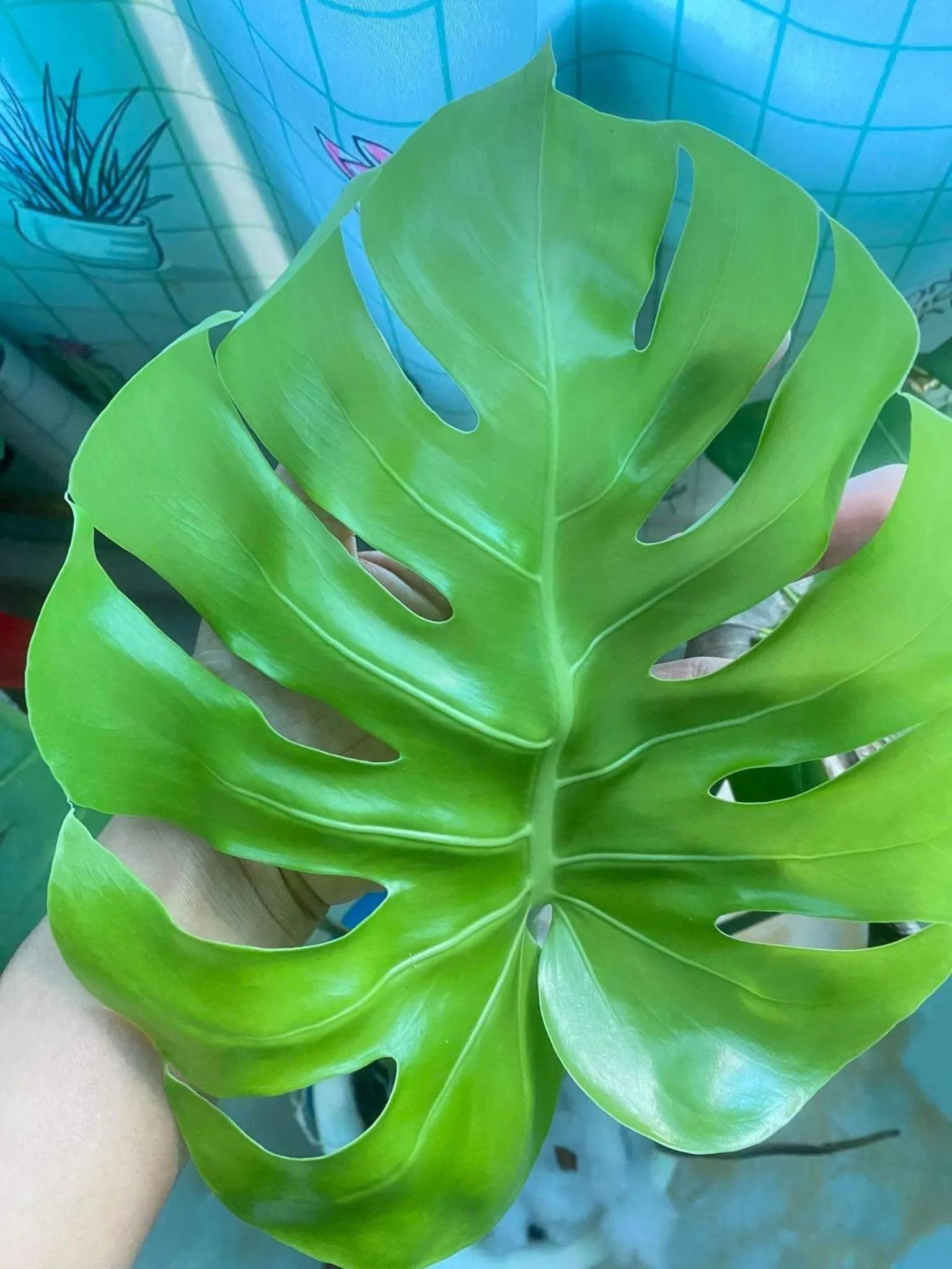 The Green Home