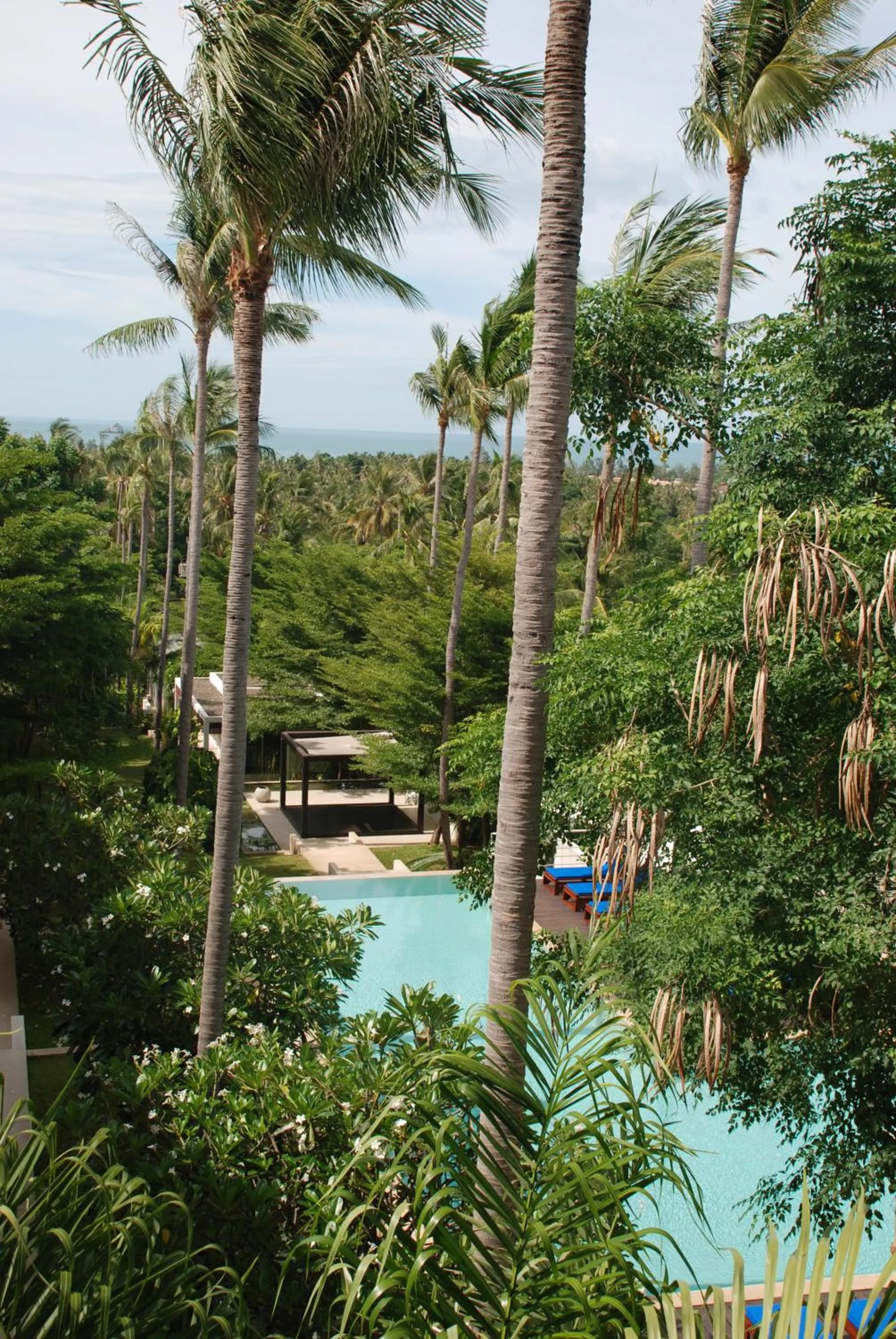 Garden in The Park Samui