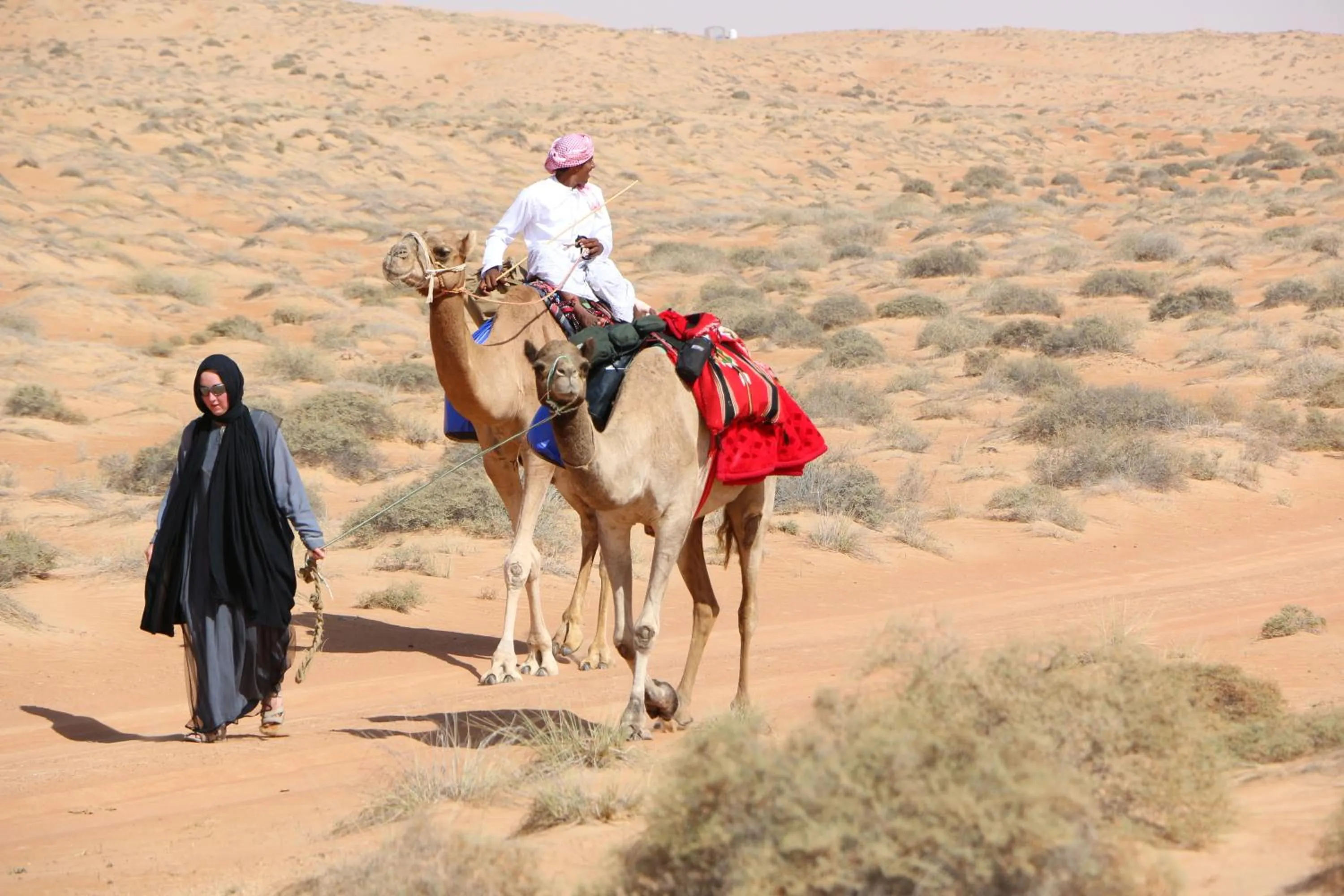 Day in Safari Desert Camp