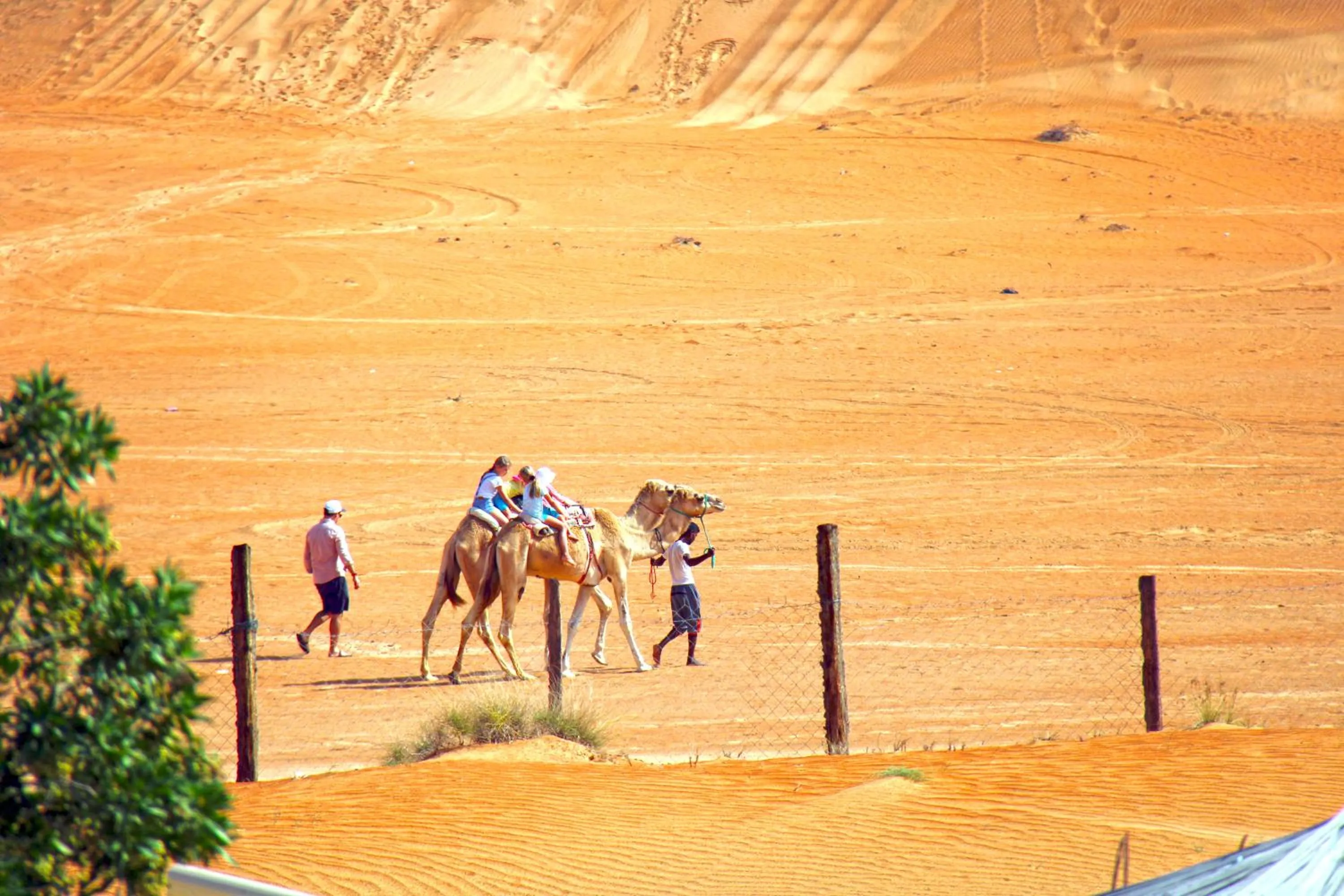 Day in Safari Desert Camp
