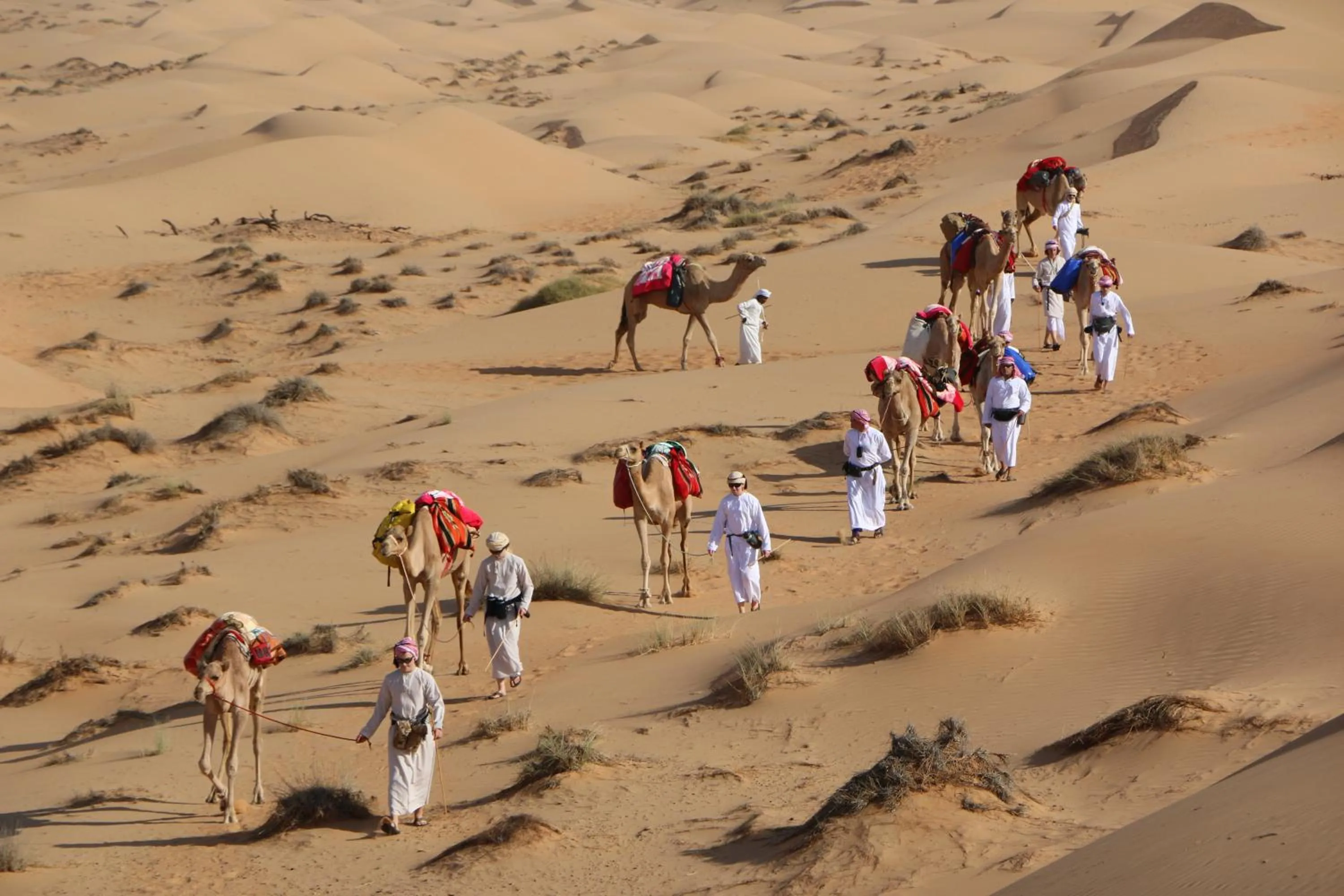 Horse-riding in Safari Desert Camp