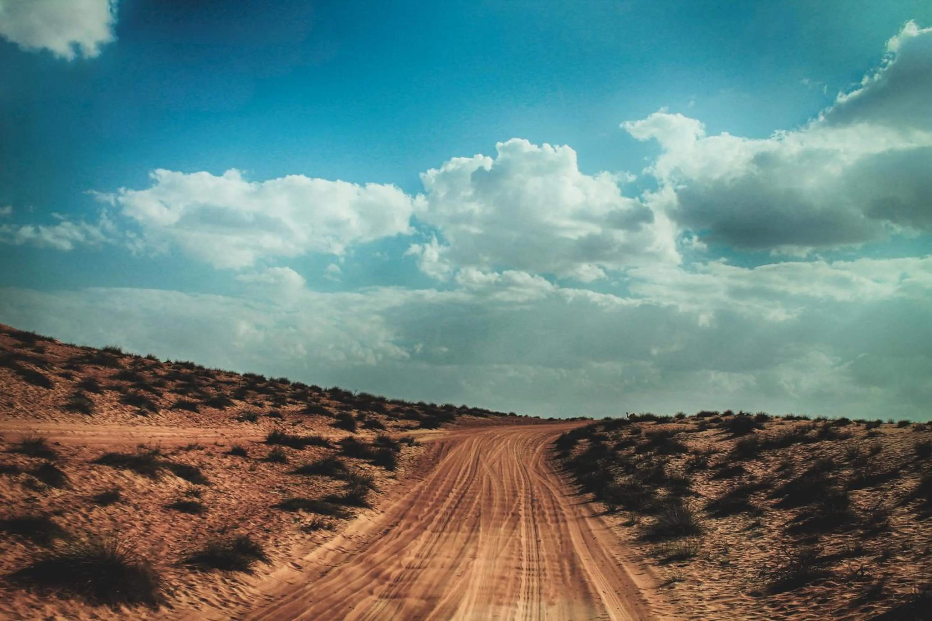 Natural landscape in Safari Desert Camp
