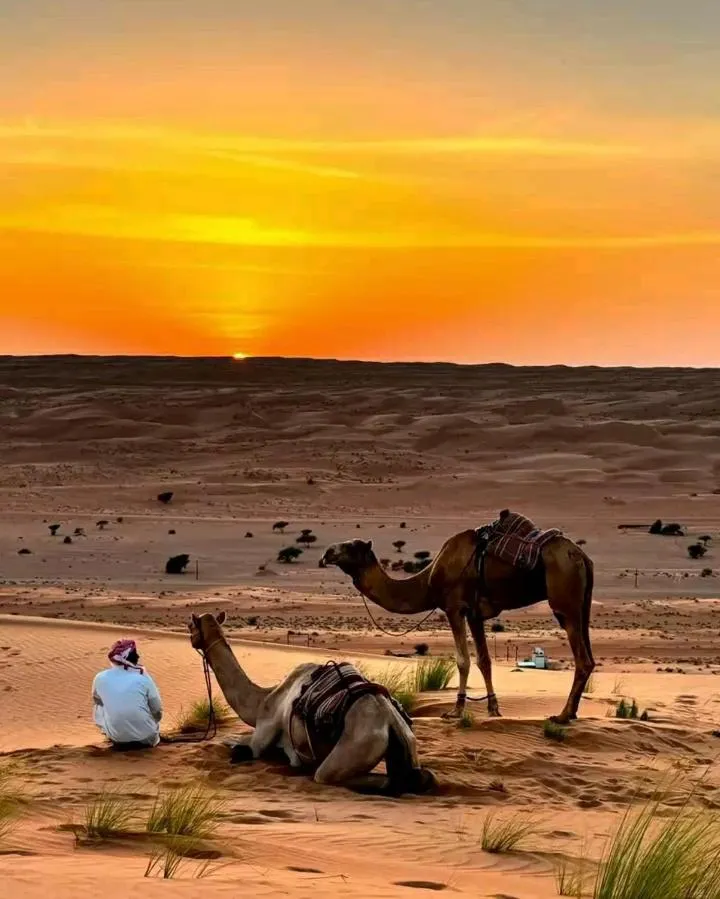 Nearby landmark in Safari Desert Camp