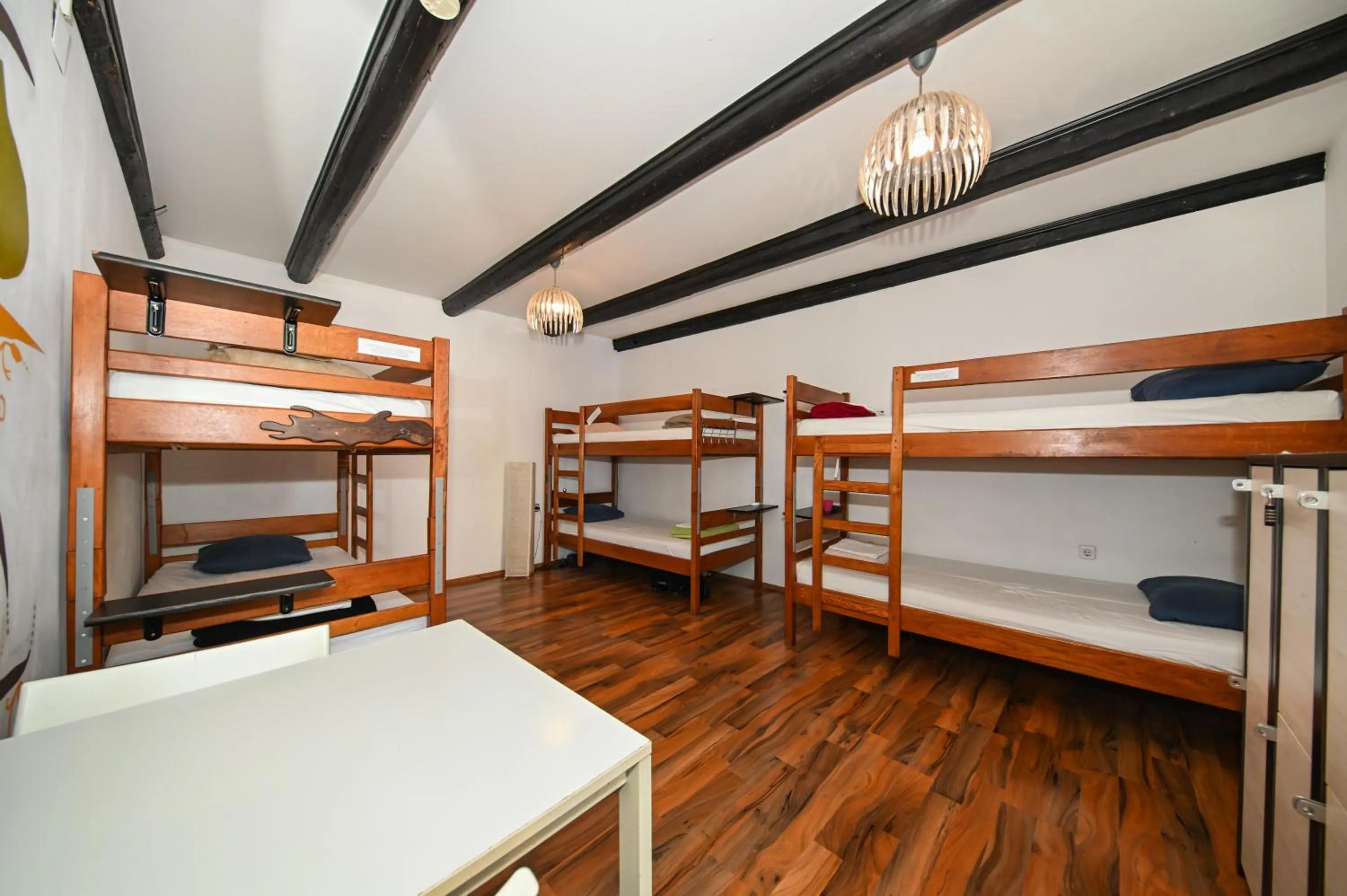 The Lazy Monkey Hostel & Apartments