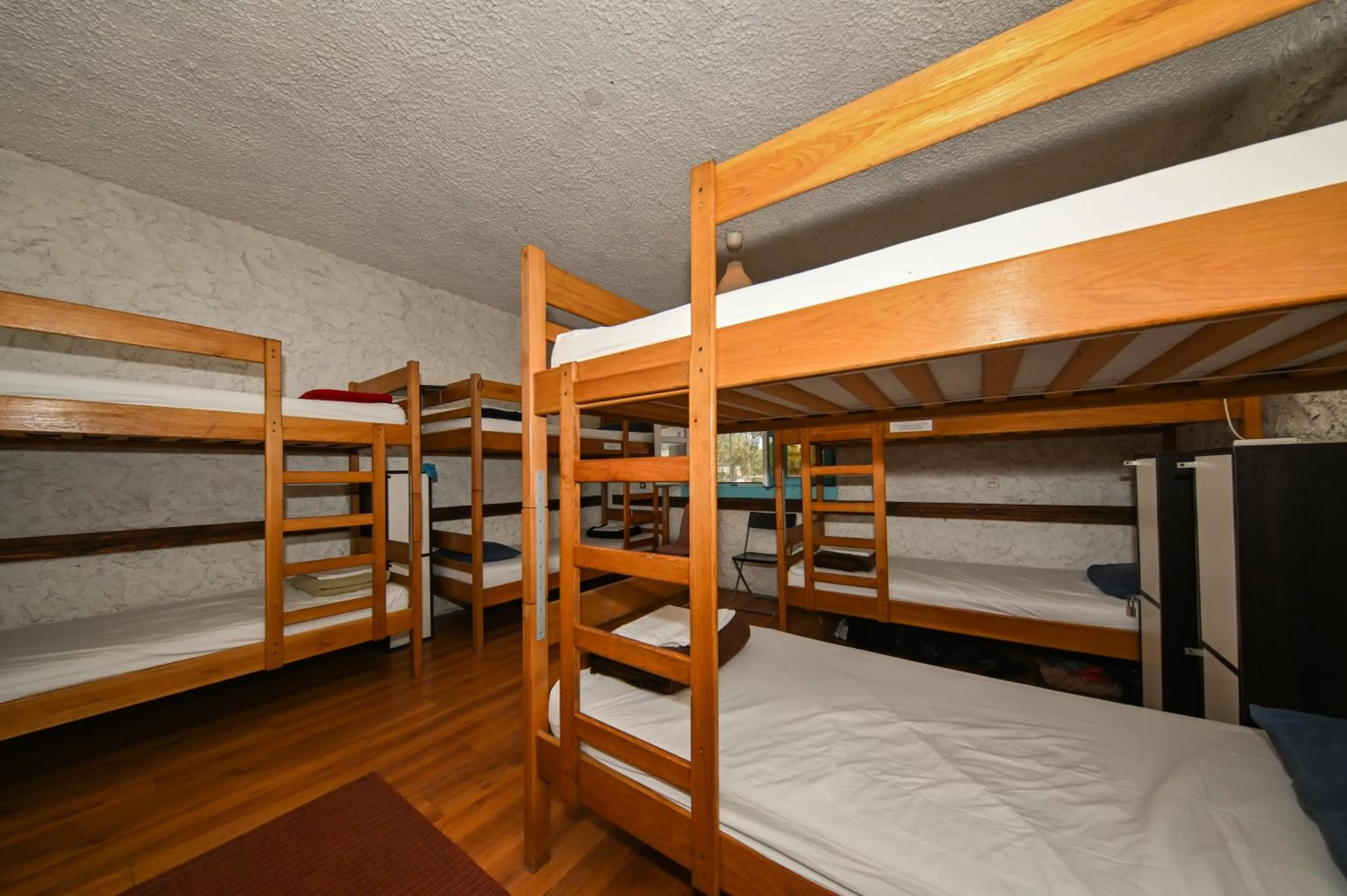 The Lazy Monkey Hostel & Apartments