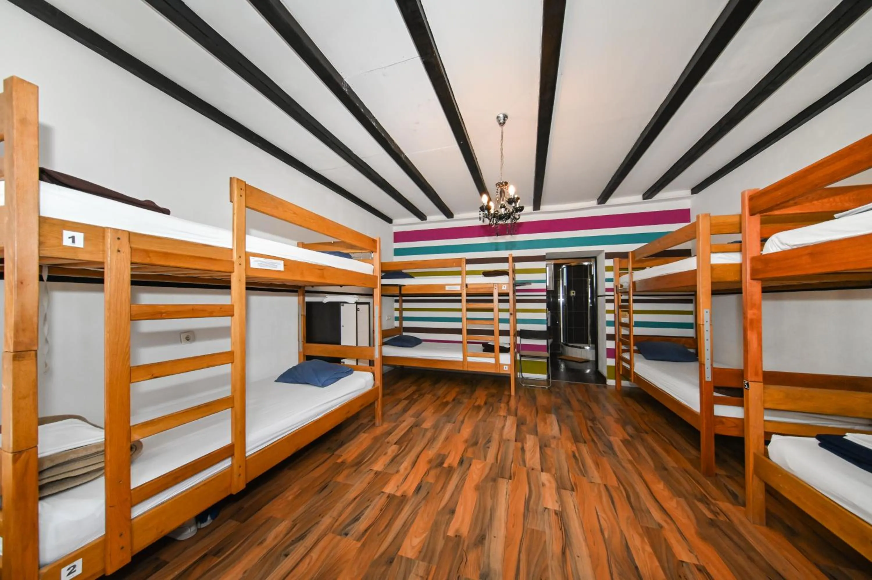 The Lazy Monkey Hostel & Apartments