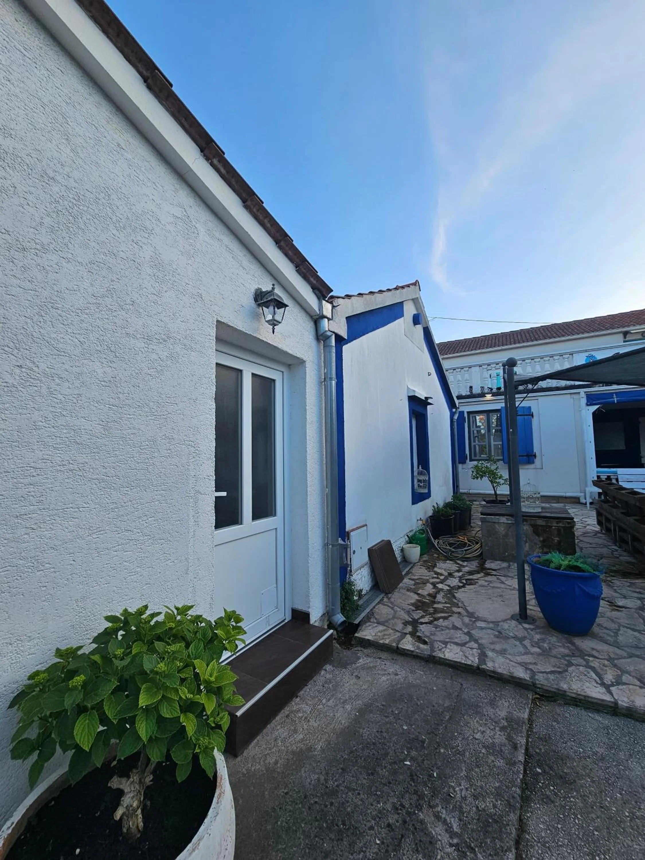 The Lazy Monkey Hostel & Apartments