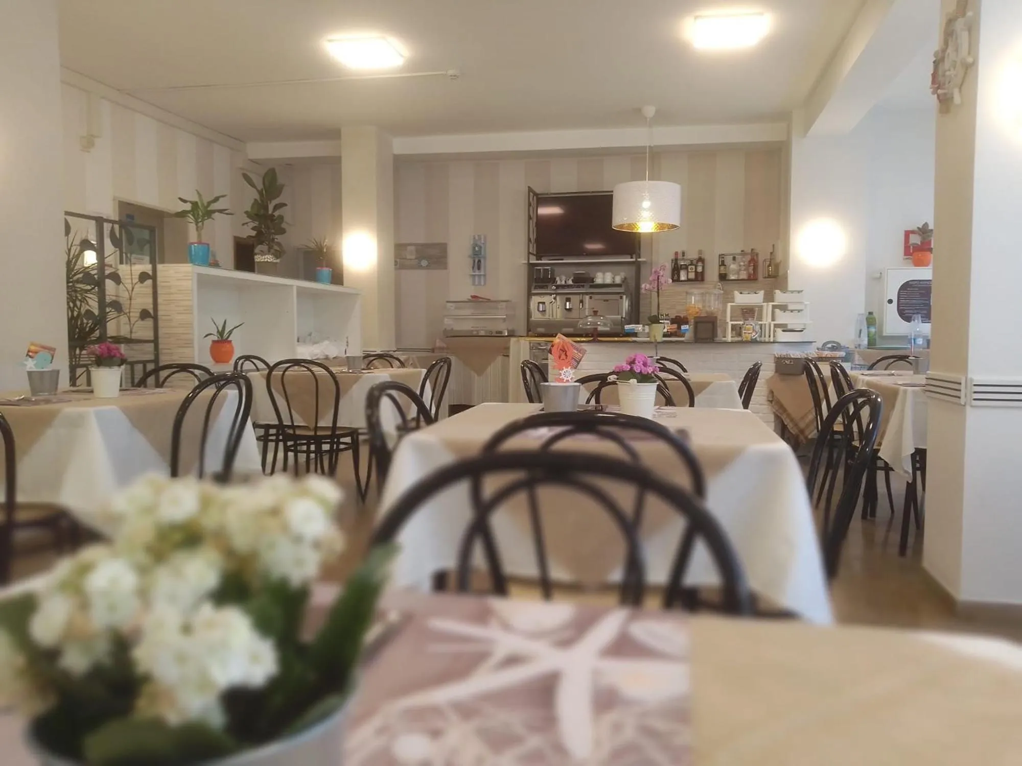 B&B - Meuble' - Hotel " CORDIALE "