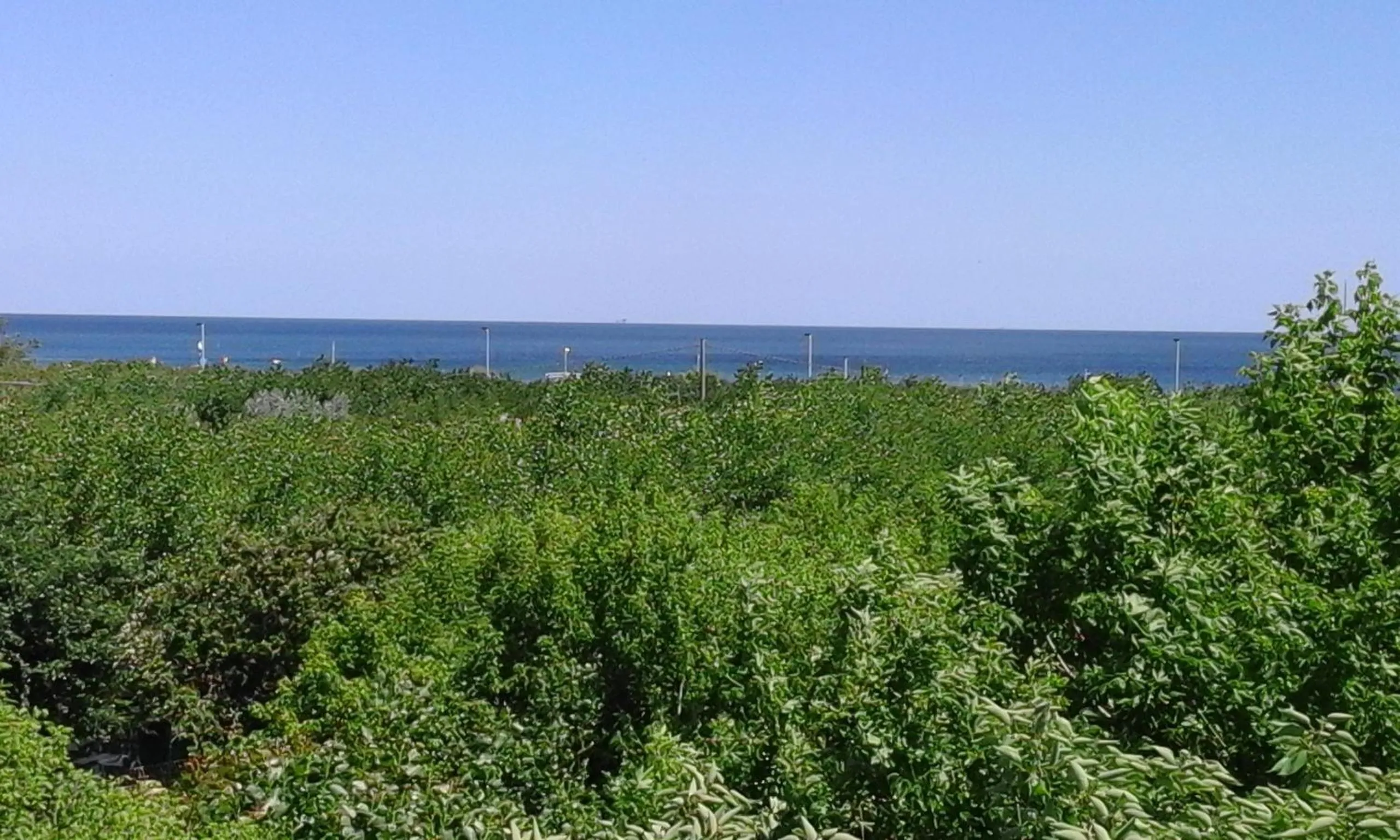 Sea view in B&B - Meuble' - Hotel " CORDIALE "