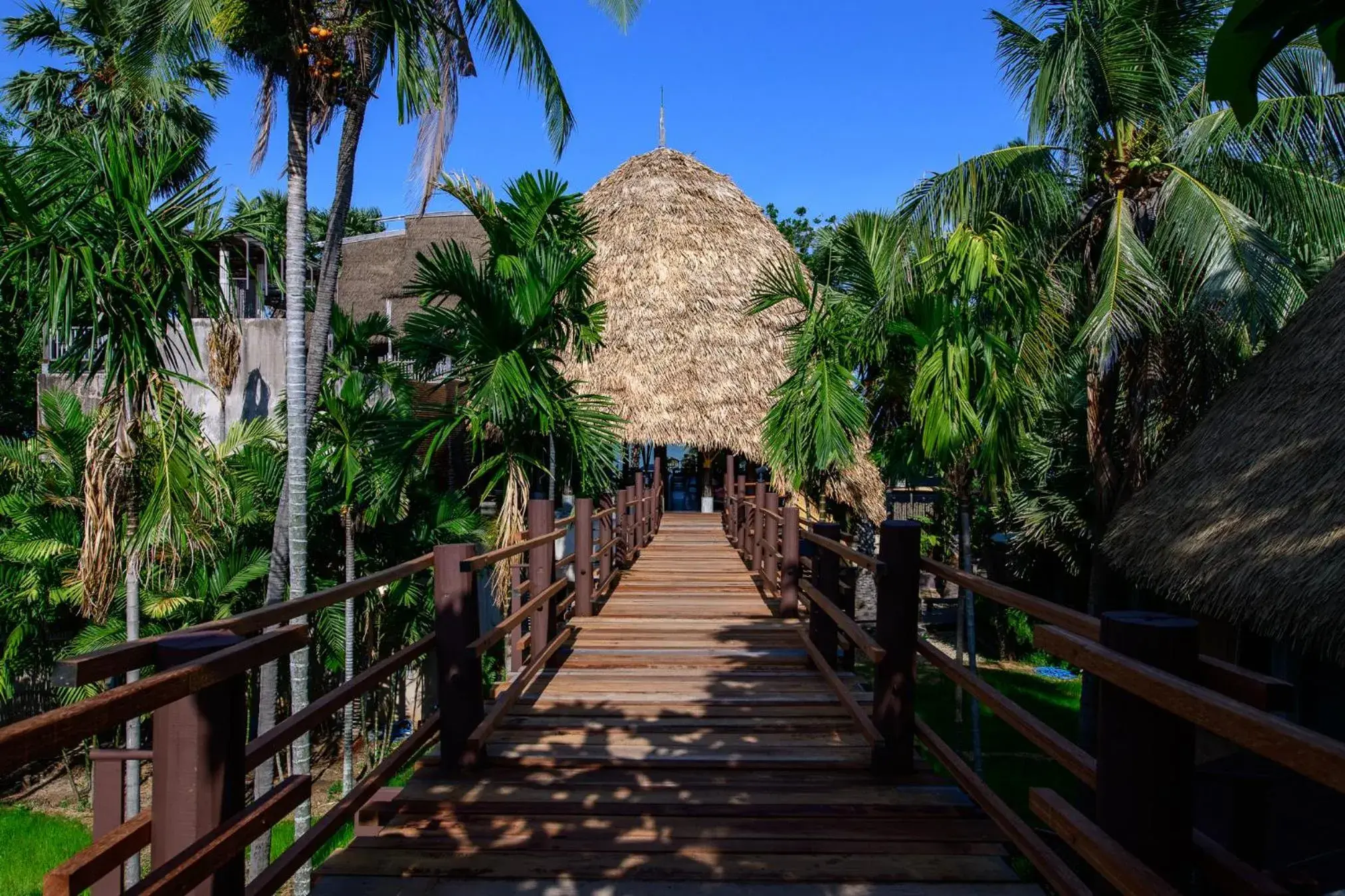 Restaurant/places to eat in LA A NATU Sam Roi Yot Restaurant/places to eat in LA A NATU Sam Roi Yot