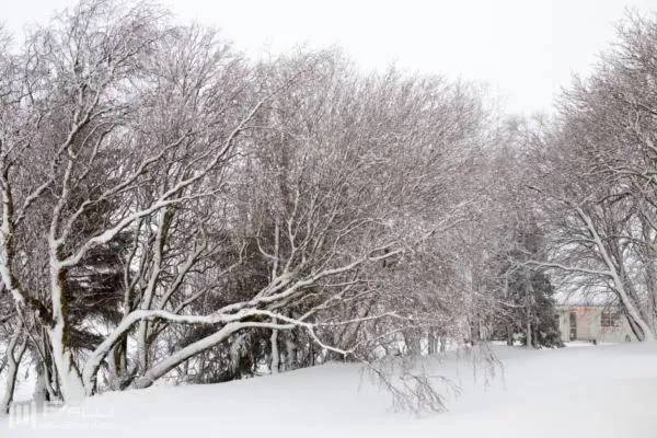 Winter in Vallakot Farm Guesthouse