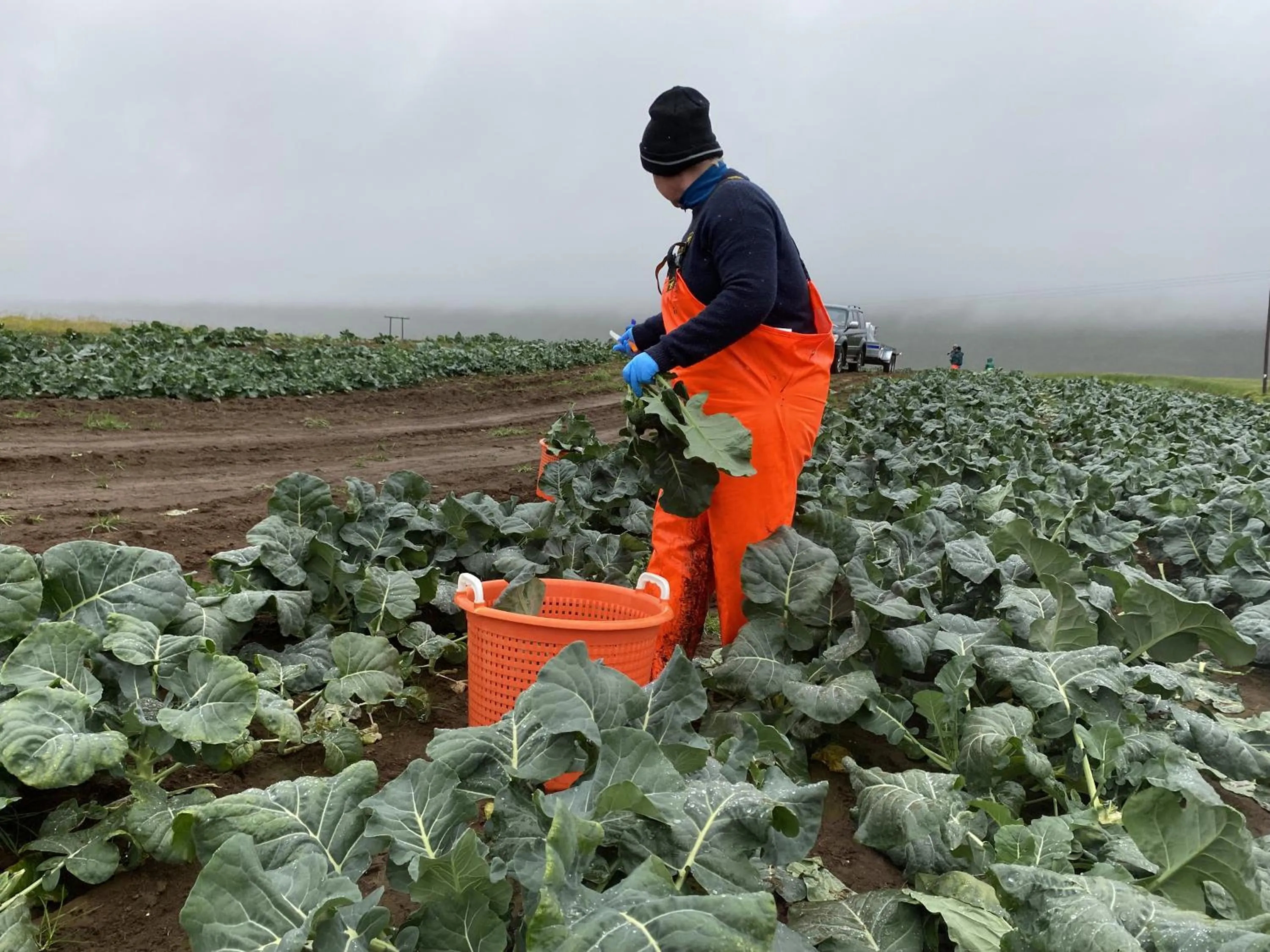 Vallakot Farm Guesthouse