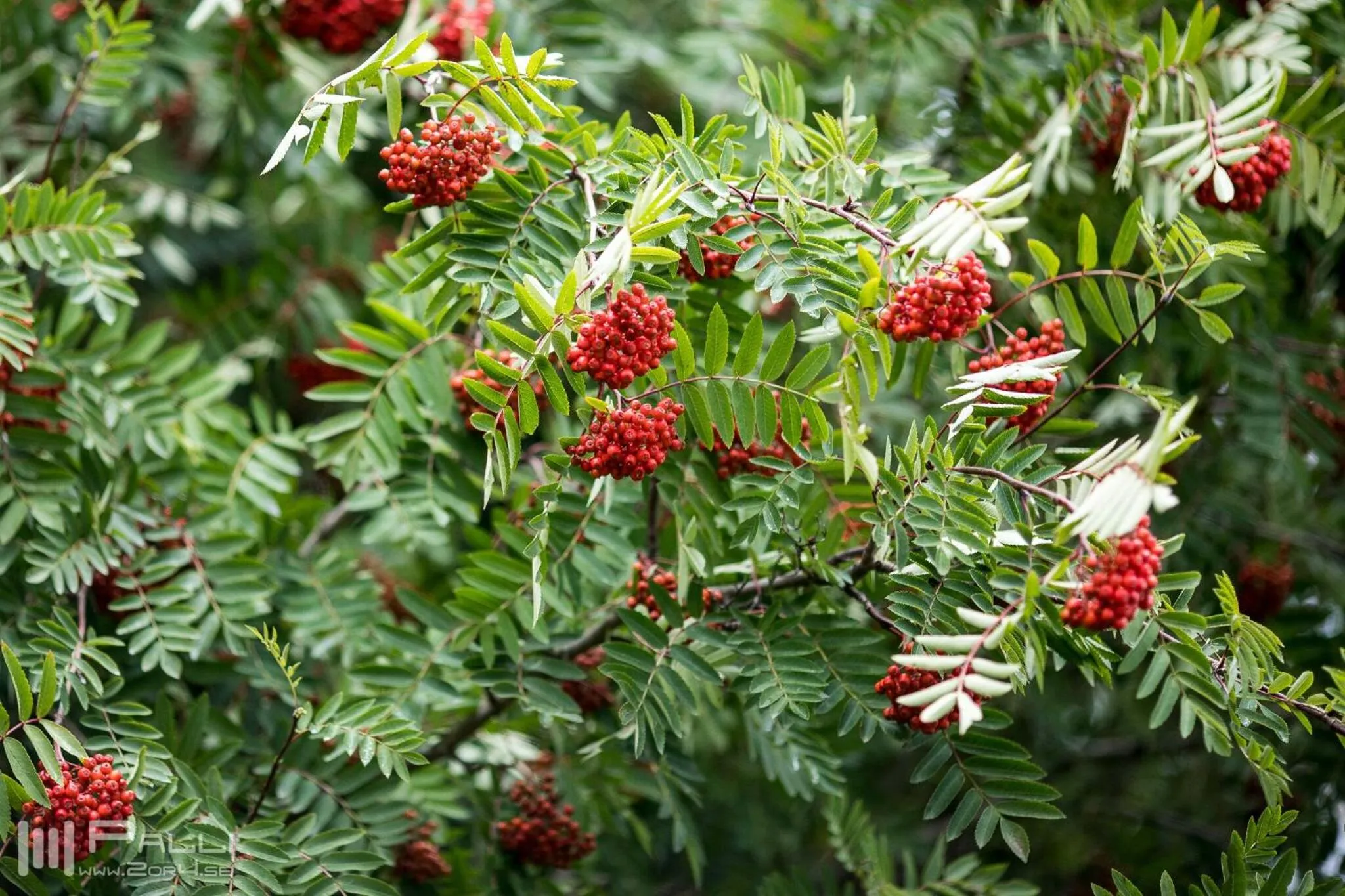 Vallakot Farm Guesthouse