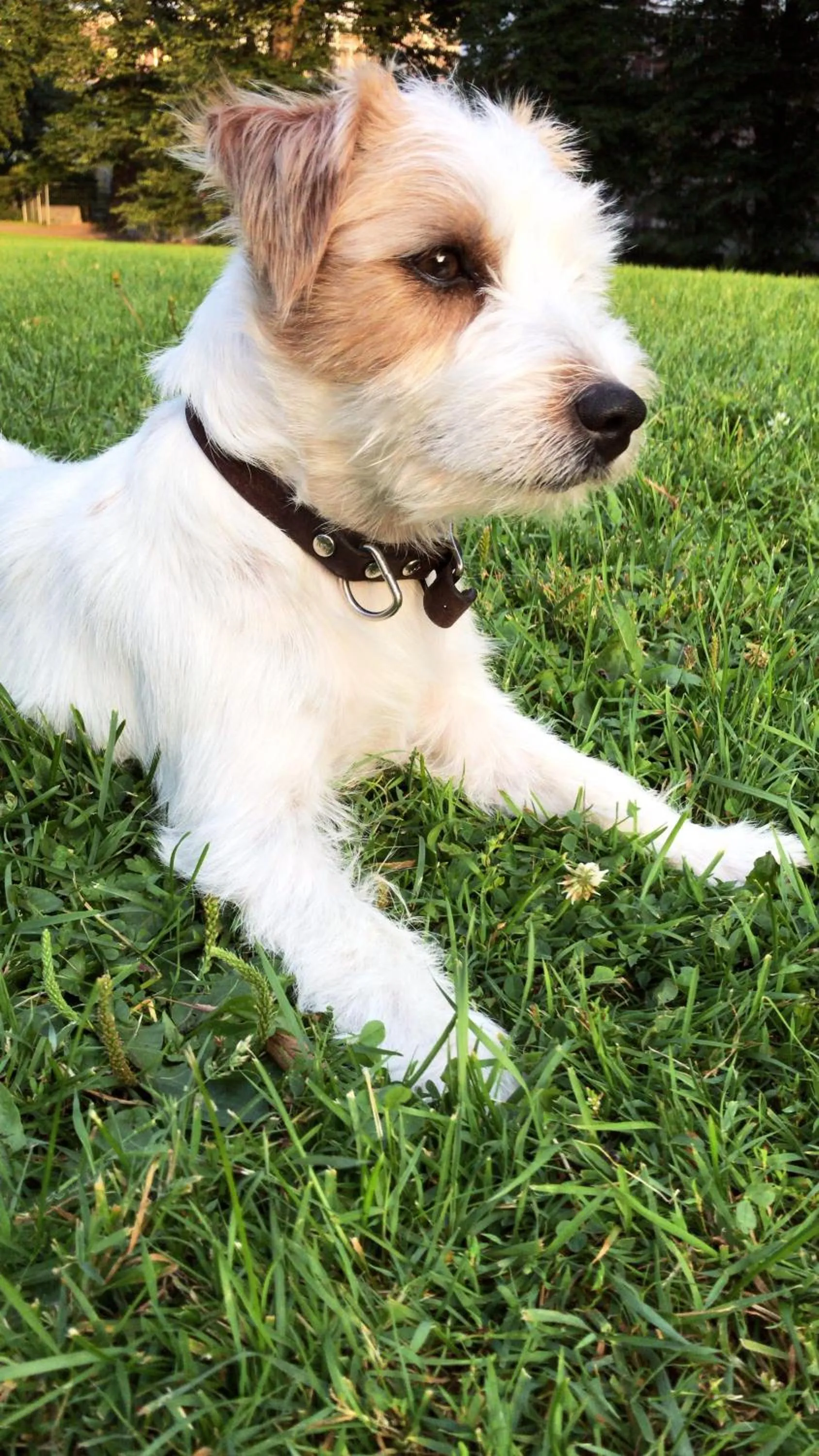 Animals in Vallakot Farm Guesthouse