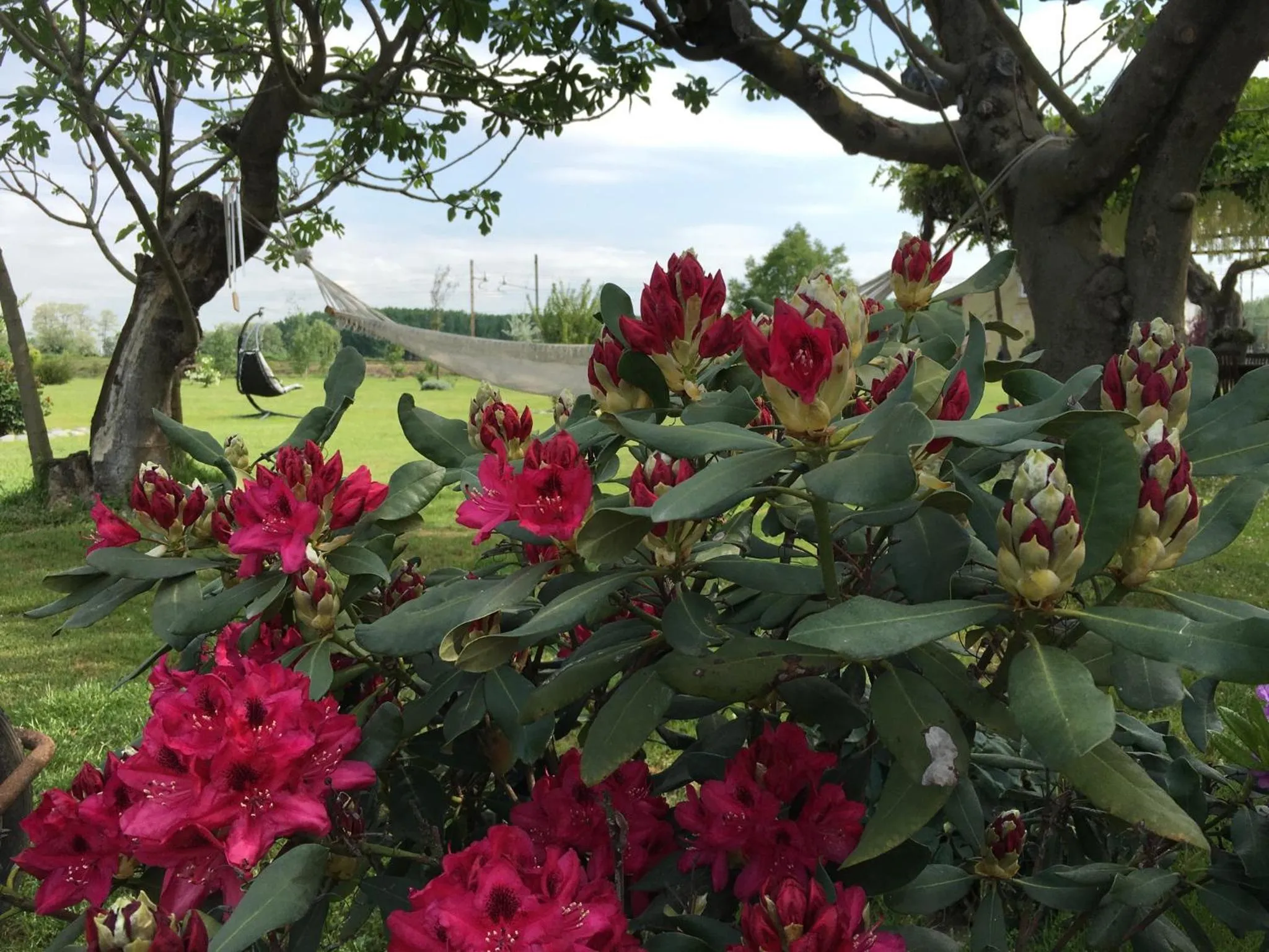 Garden in B&B La Castellana