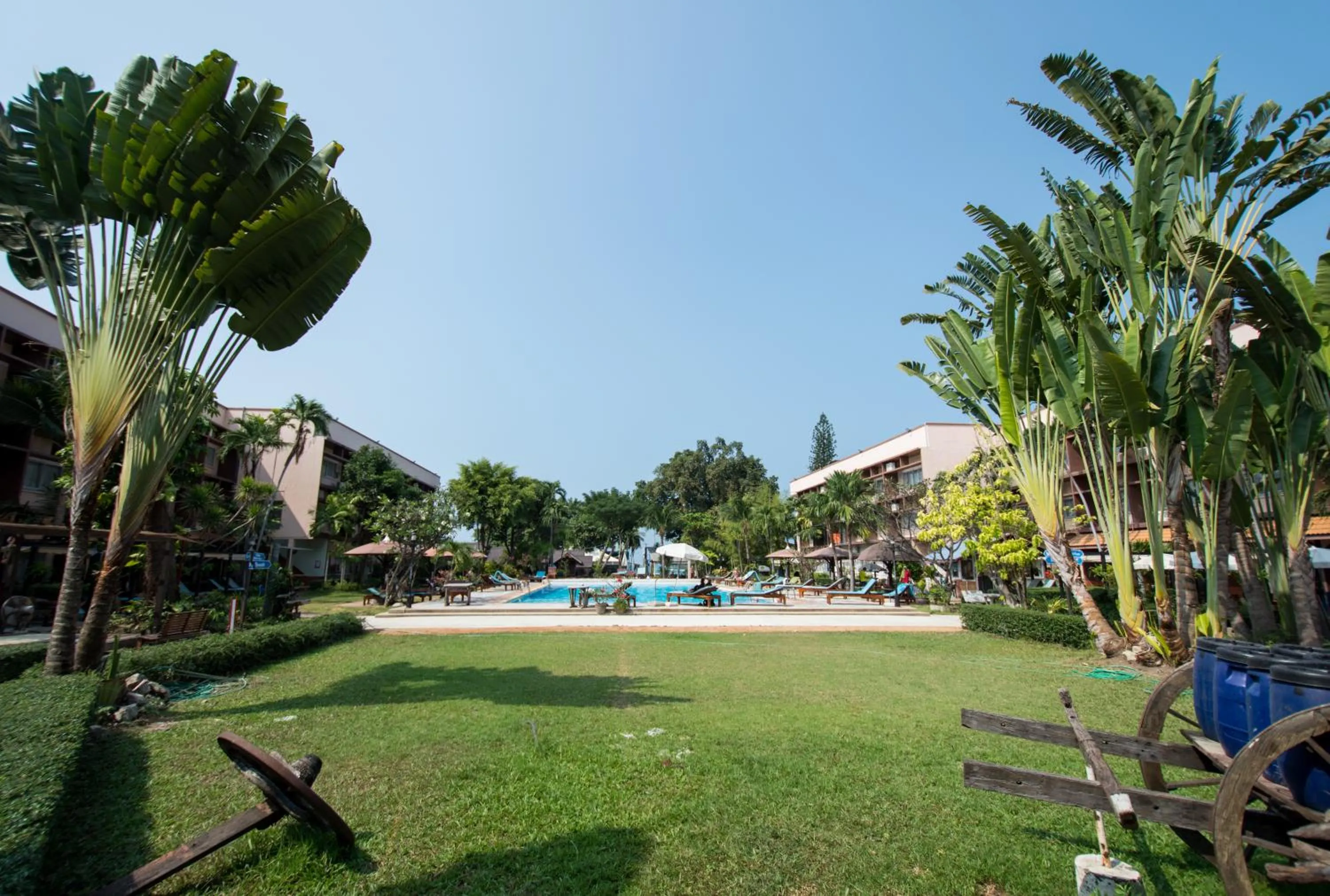 Garden view in Basaya Beach Hotel & Resort
