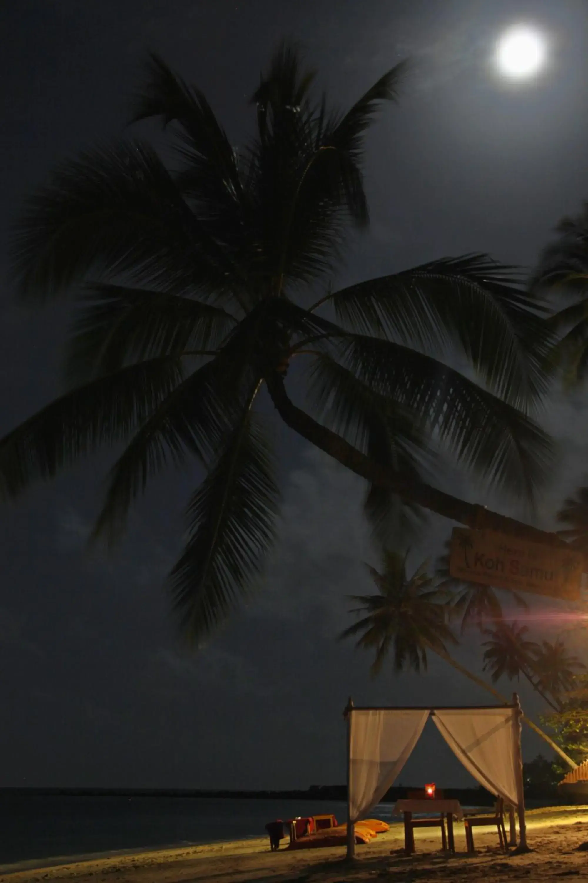 Sea view in Mimosa Resort & Spa Sea view in Mimosa Resort & Spa