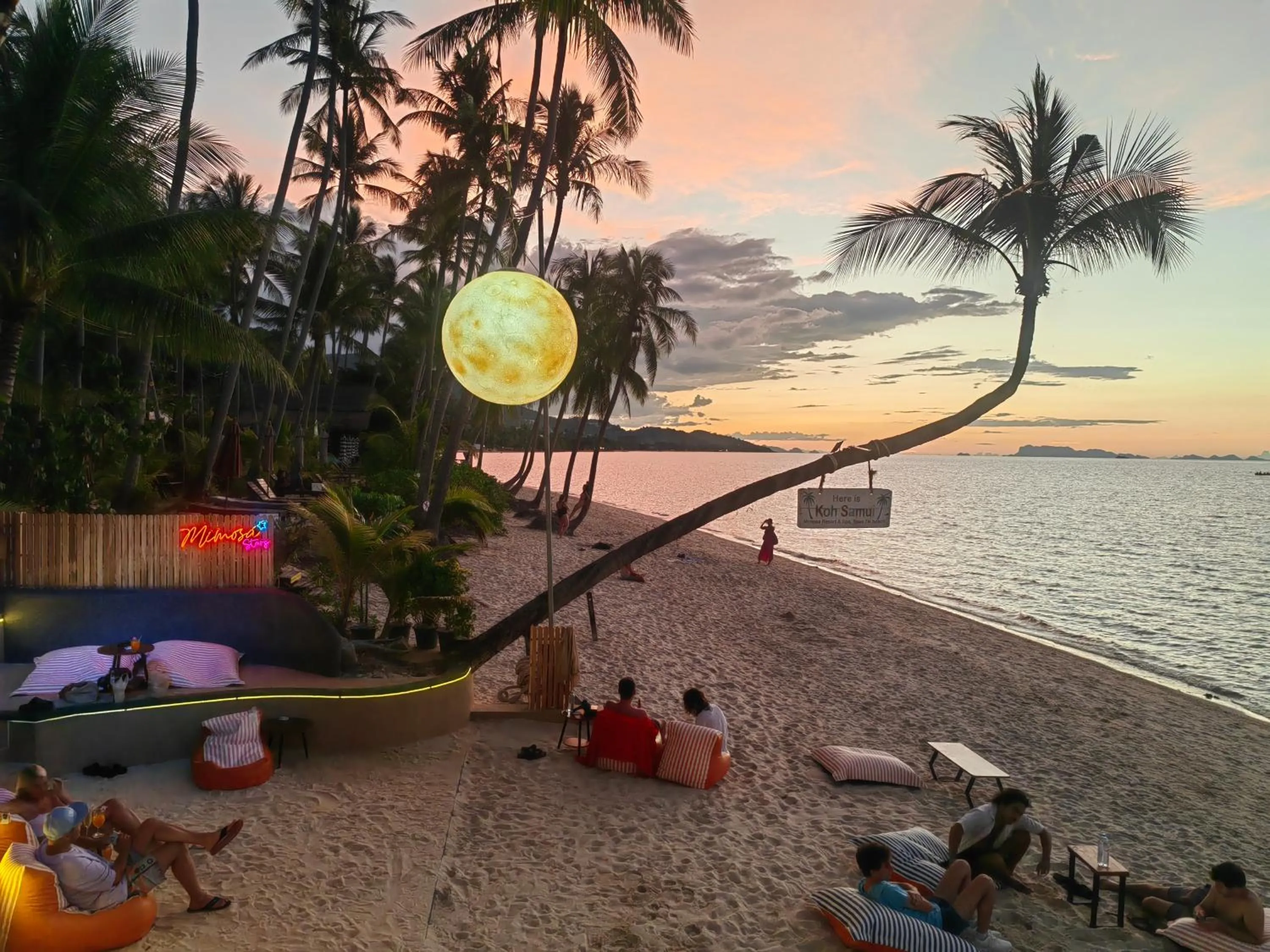 Beach in Mimosa Resort & Spa