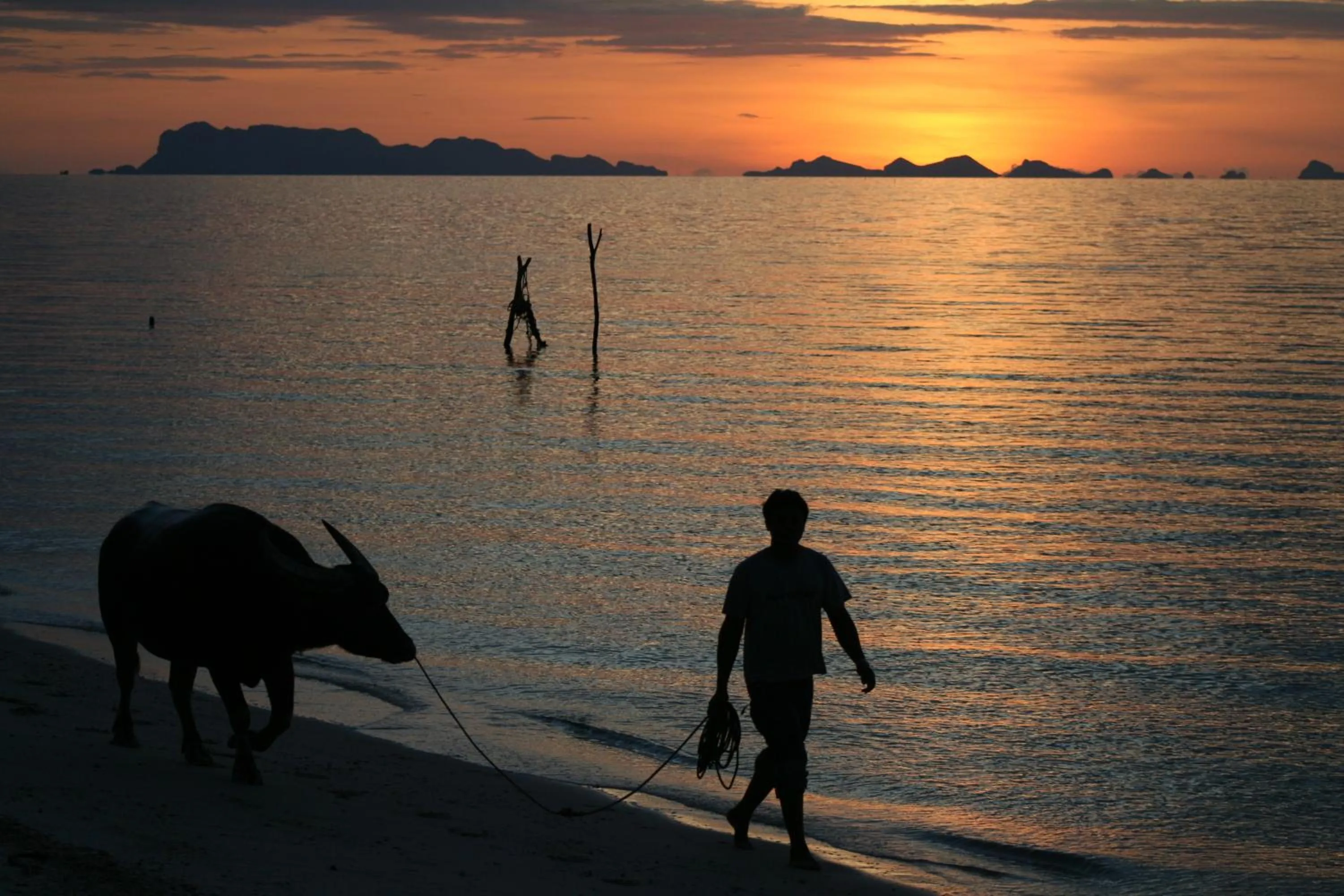 Activities in Mimosa Resort & Spa