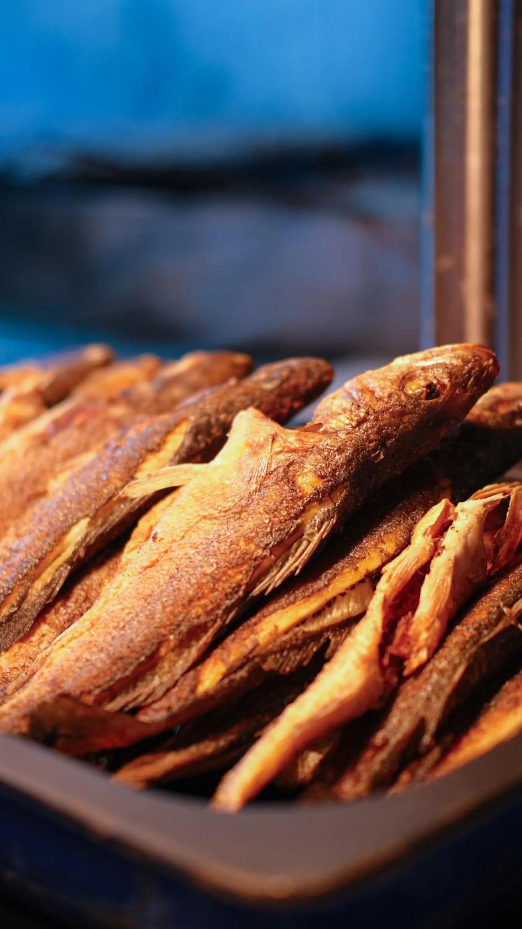 Food in Side Village Family Suite - All Inclusive