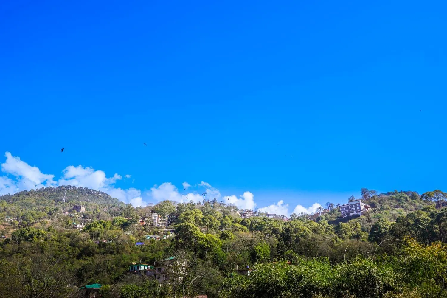 View (from property/room) in Hotel Nature's View