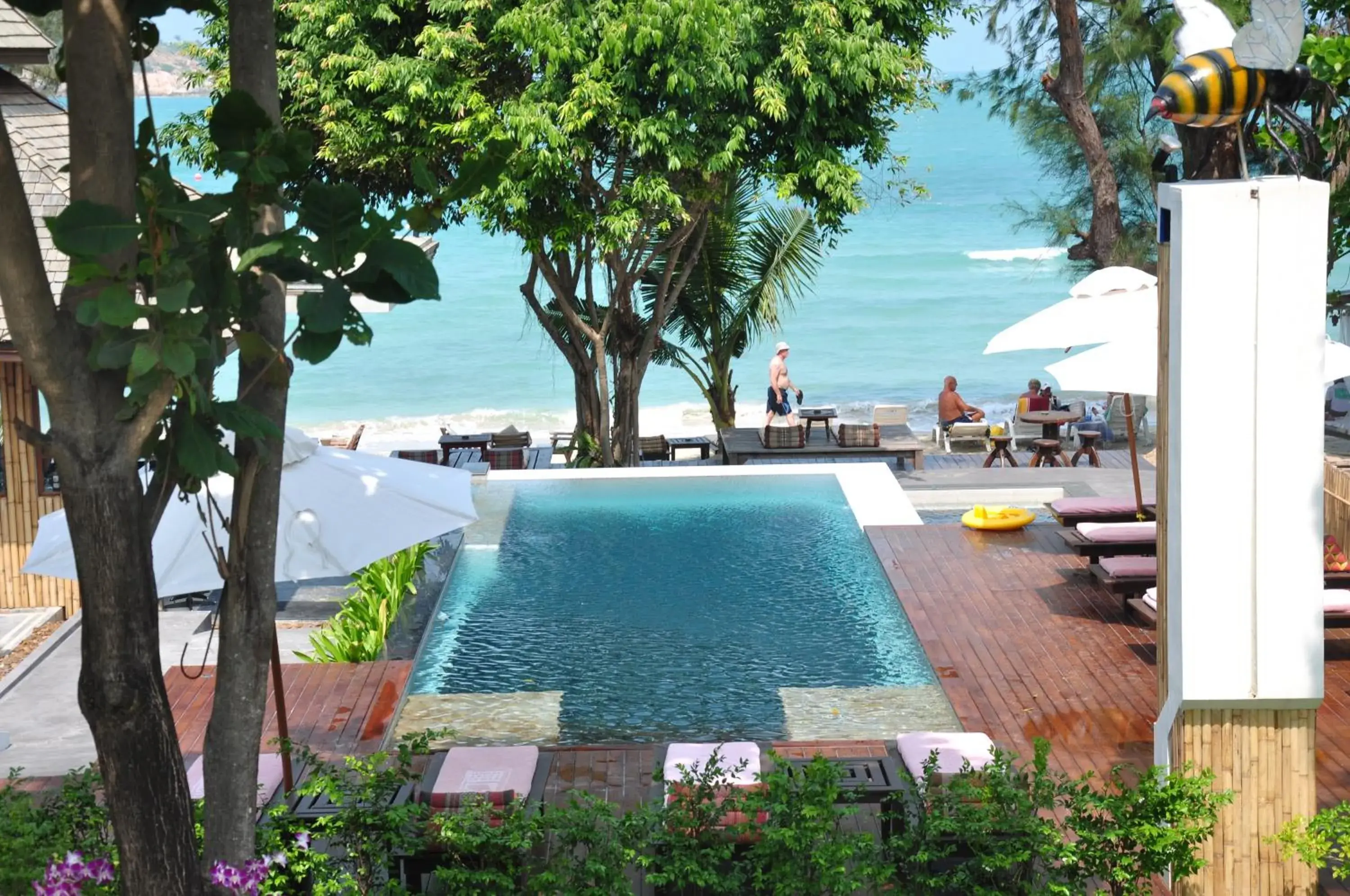 Swimming pool in Samui Honey Cottages Beach Resort - SHA Extra Plus Swimming pool in Samui Honey Cottages Beach Resort - SHA Extra Plus