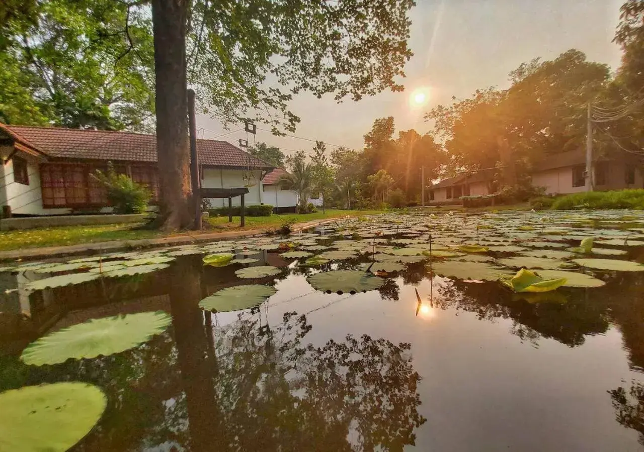 Garden view in Supalai Pasak Resort Hotel And Spa Garden view in Supalai Pasak Resort Hotel And Spa