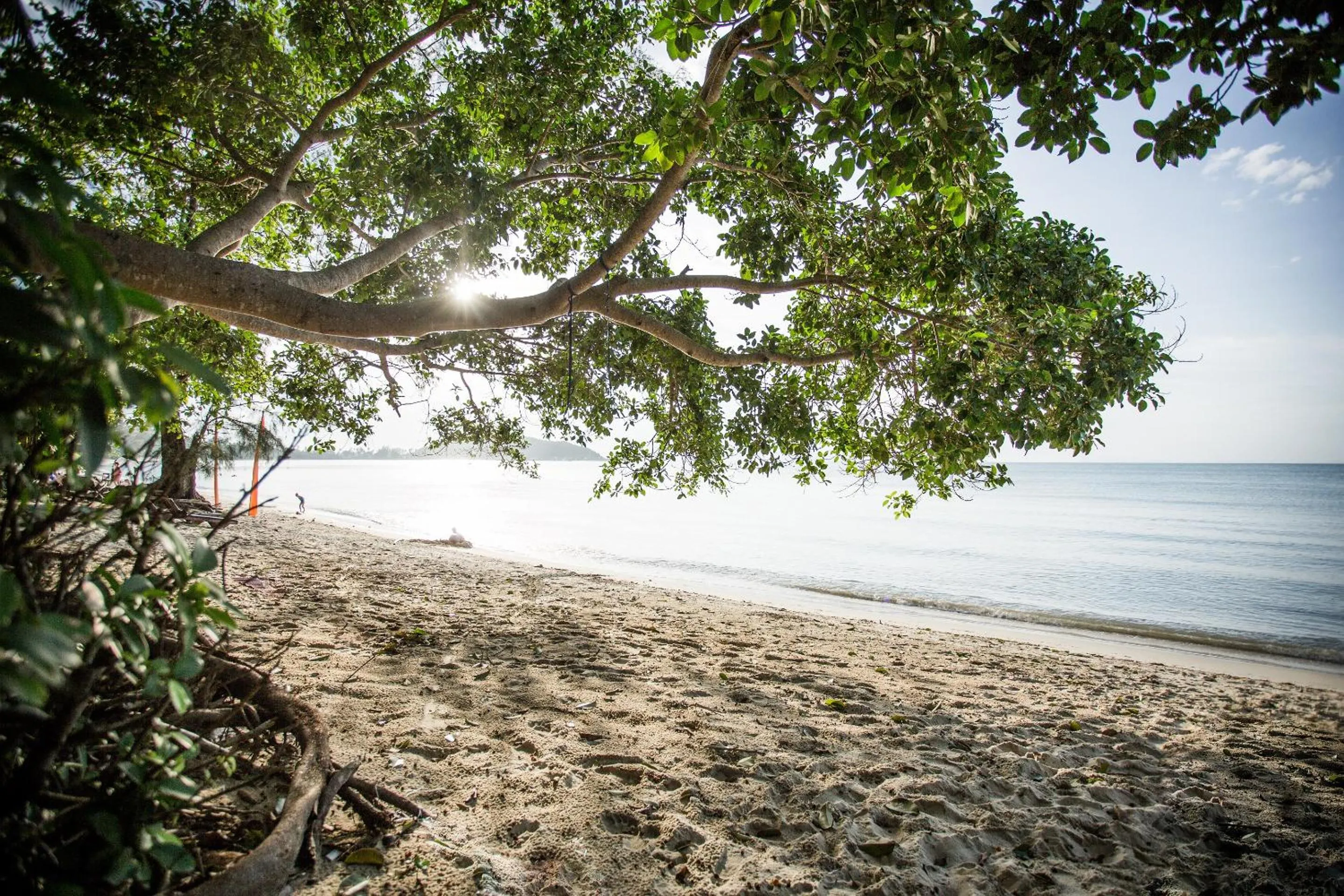 Activities in Anahata Resort