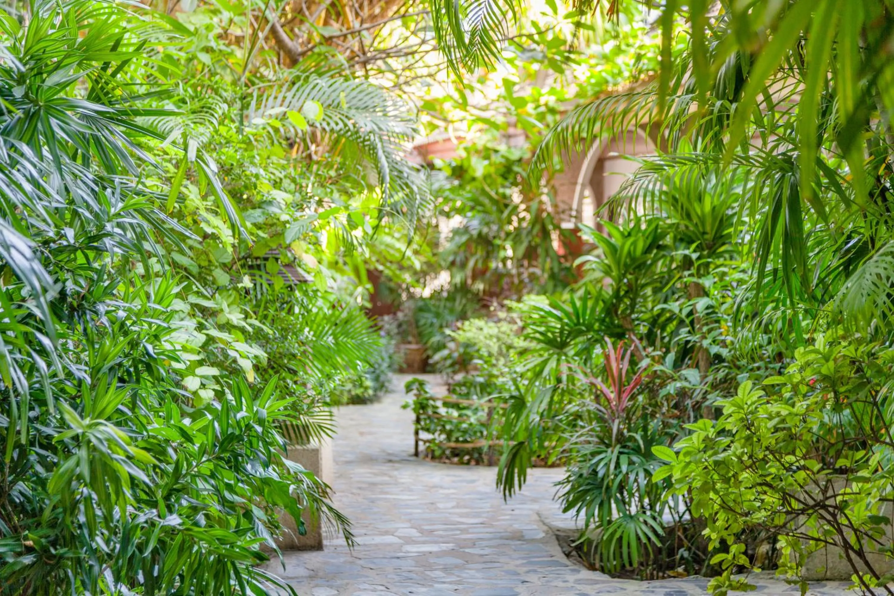 Garden in Tropica Bungalow Beach Hotel