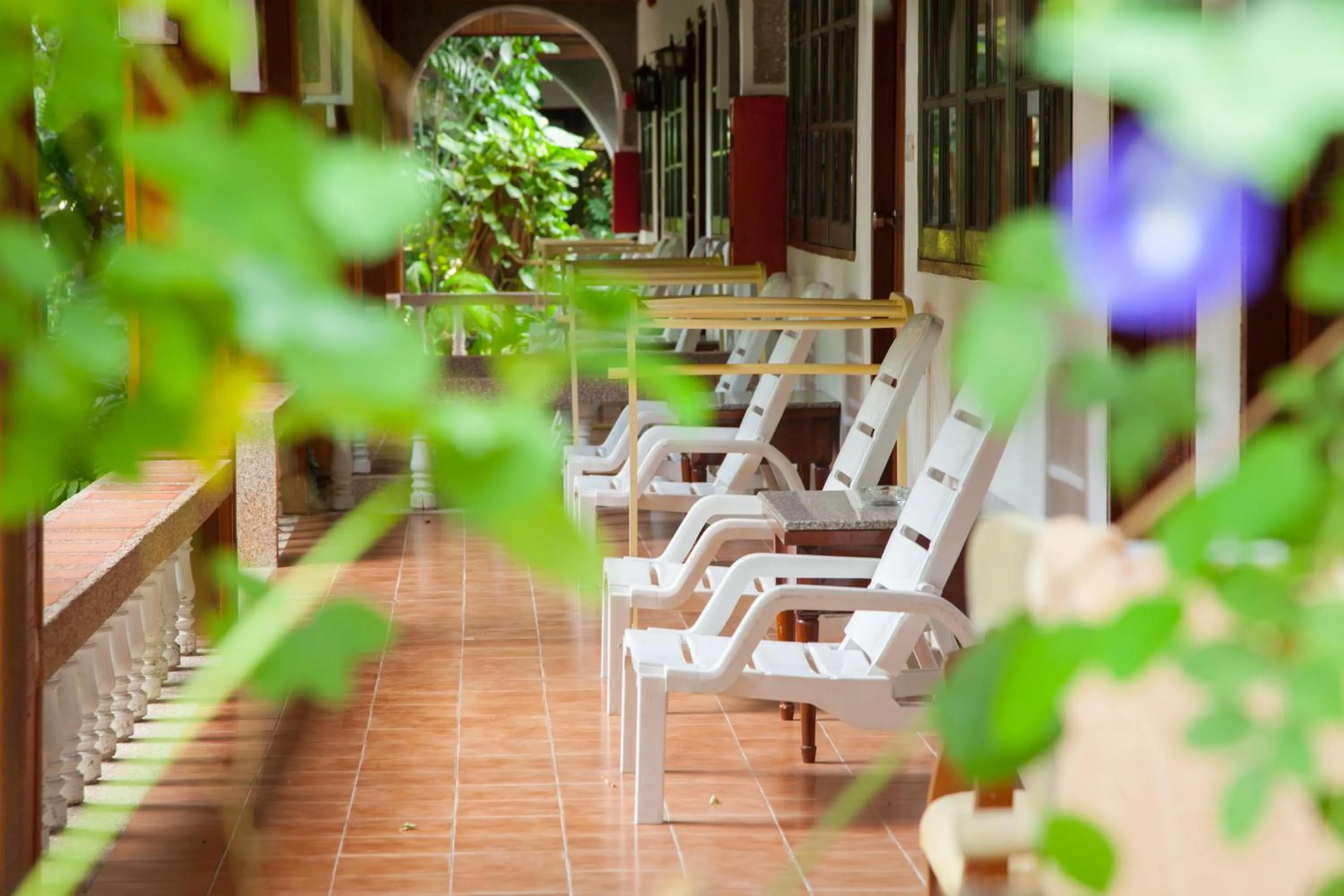 Balcony/Terrace in Tropica Bungalow Beach Hotel
