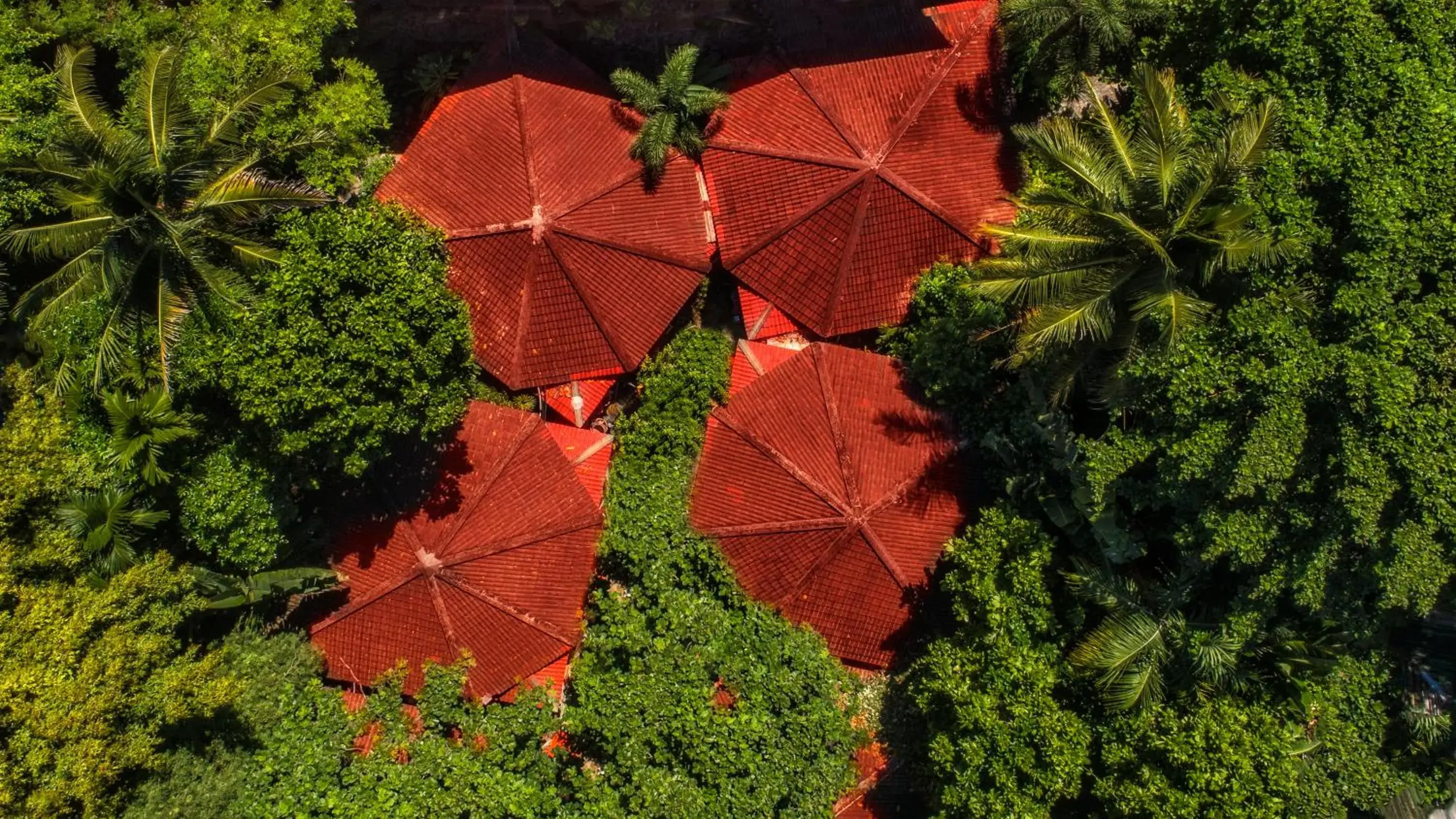 Bird's eye view in Tropica Bungalow Beach Hotel Bird's eye view in Tropica Bungalow Beach Hotel