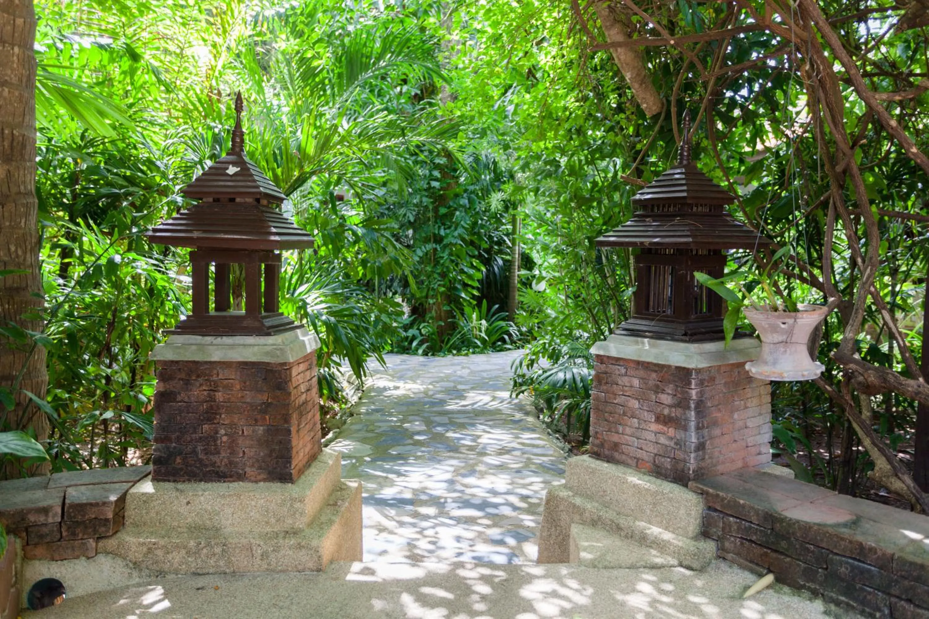 Garden in Tropica Bungalow Beach Hotel